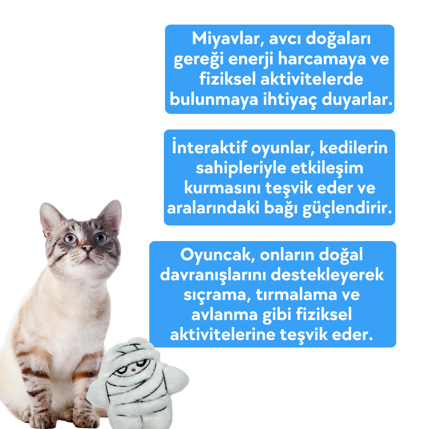 Peluş Mumya Kedi Oyuncağı