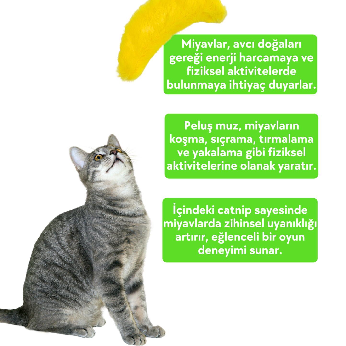 Catnip Cepli Muz Peluş Kedi Oyuncağı ve 2 Adet Catnip Paketi