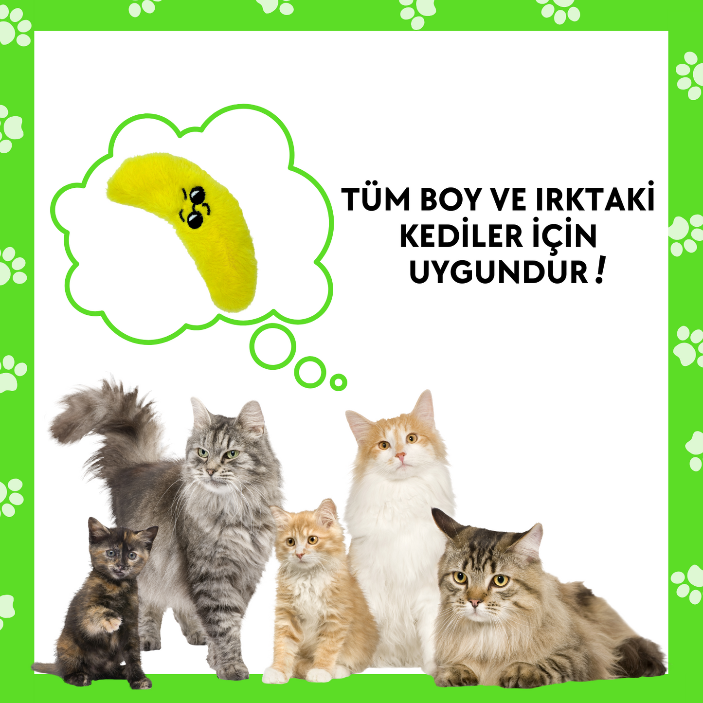 Catnip Cepli Muz Peluş Kedi Oyuncağı ve 2 Adet Catnip Paketi