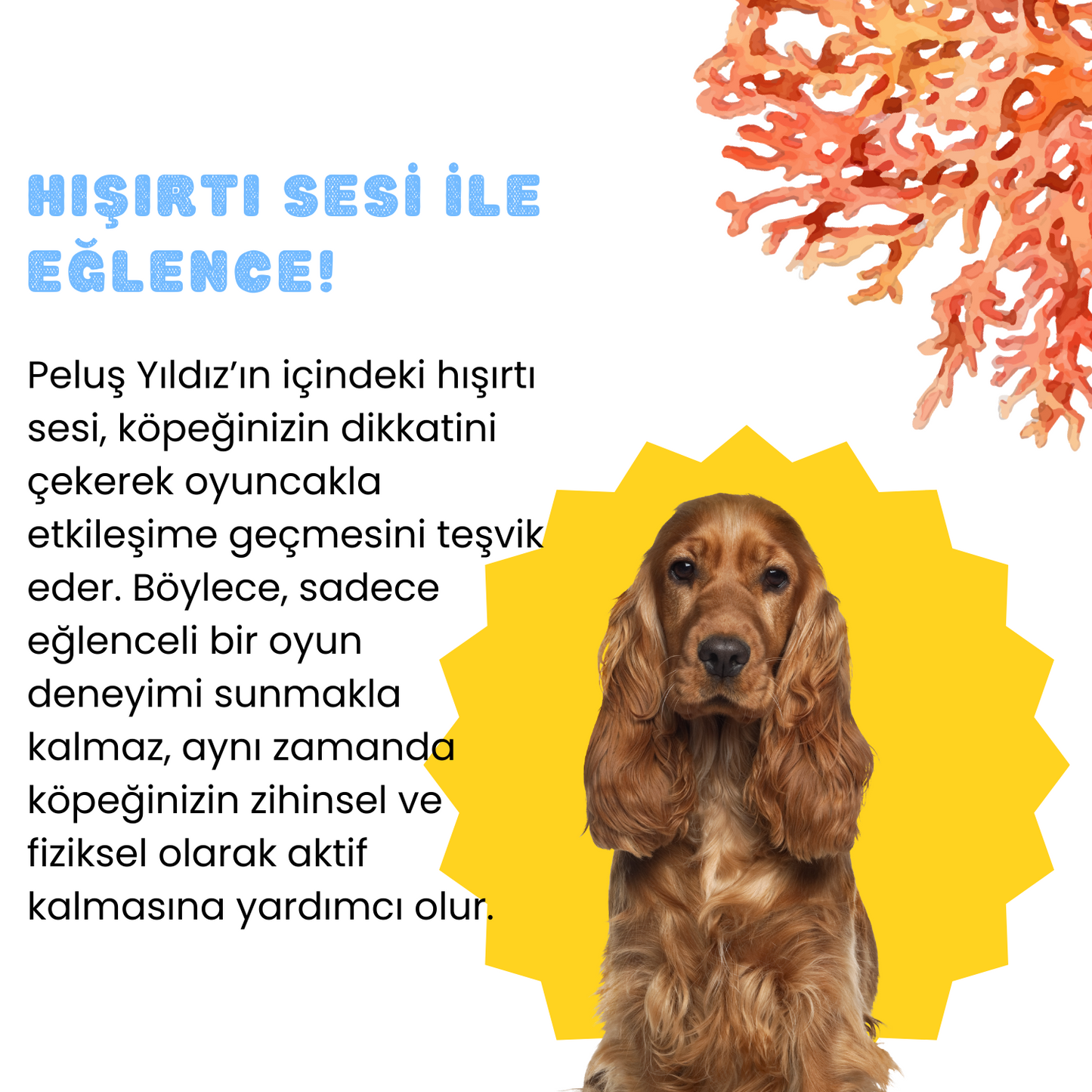 Denizyıldızı Sesli Peluş Köpek Oyuncağı