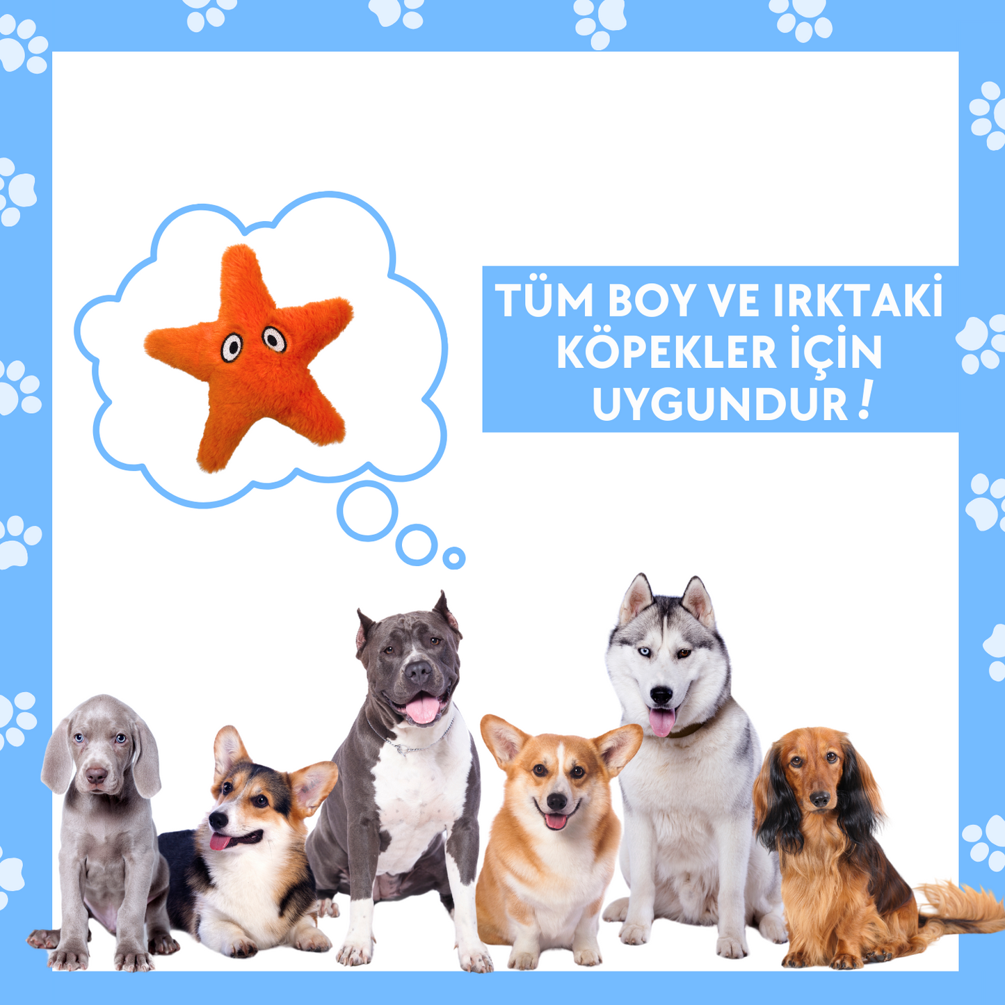 Denizyıldızı Sesli Peluş Köpek Oyuncağı