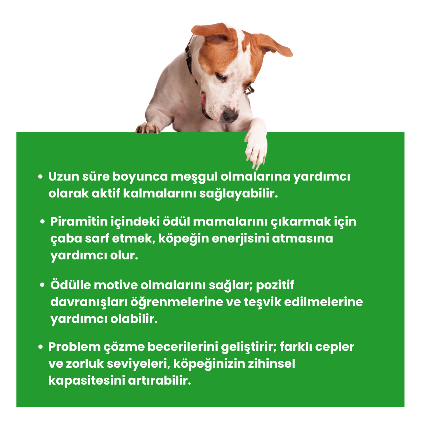 Piramit Mama Saklamalı Köpek Zeka Oyuncağı