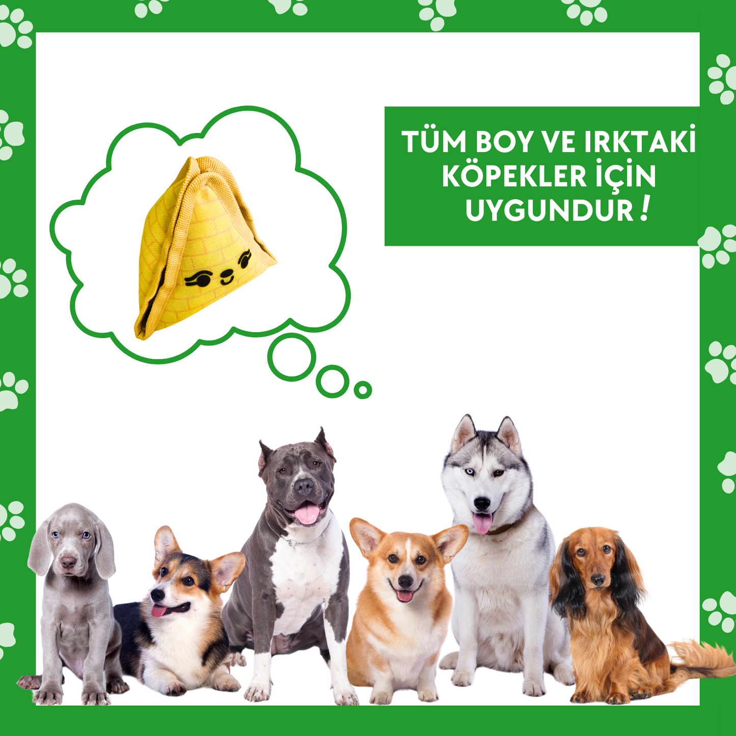 Piramit Mama Saklamalı Köpek Zeka Oyuncağı