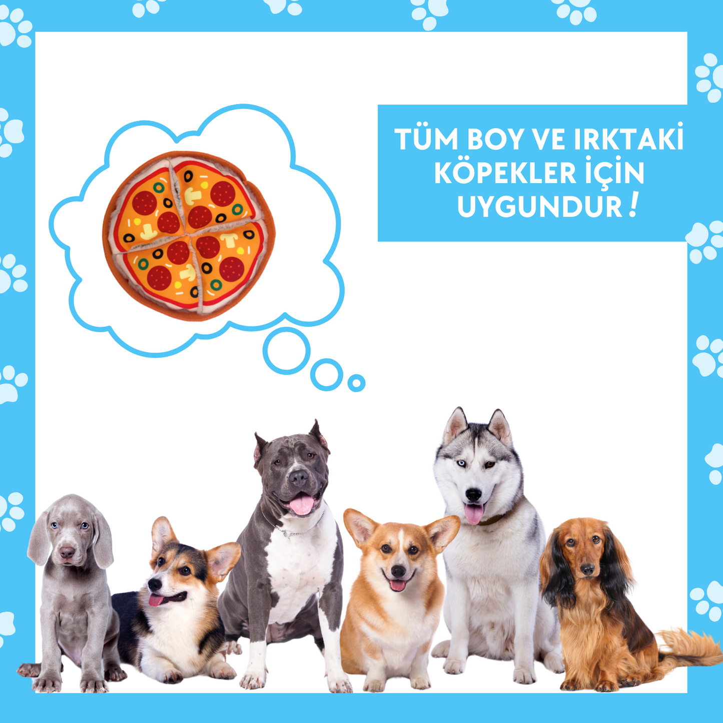 Pizza Mama Saklamalı Köpek Zeka Oyuncağı