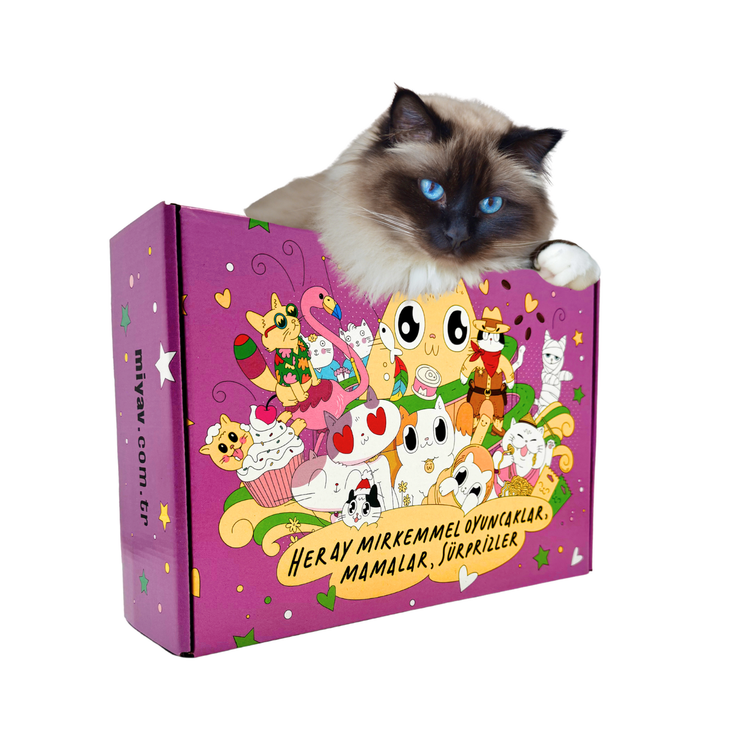 Purrari Kedi Tırmalama Kartonu 30 Cm