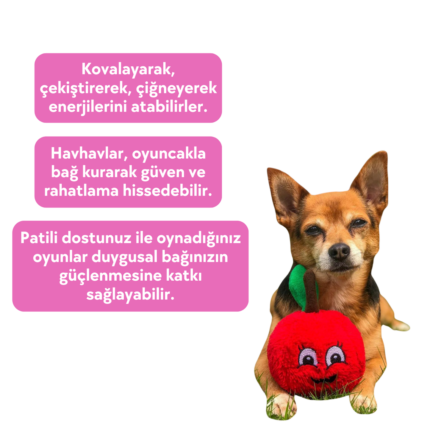 Sevimli Kırmızı Elma Sesli Peluş Köpek Oyuncağı