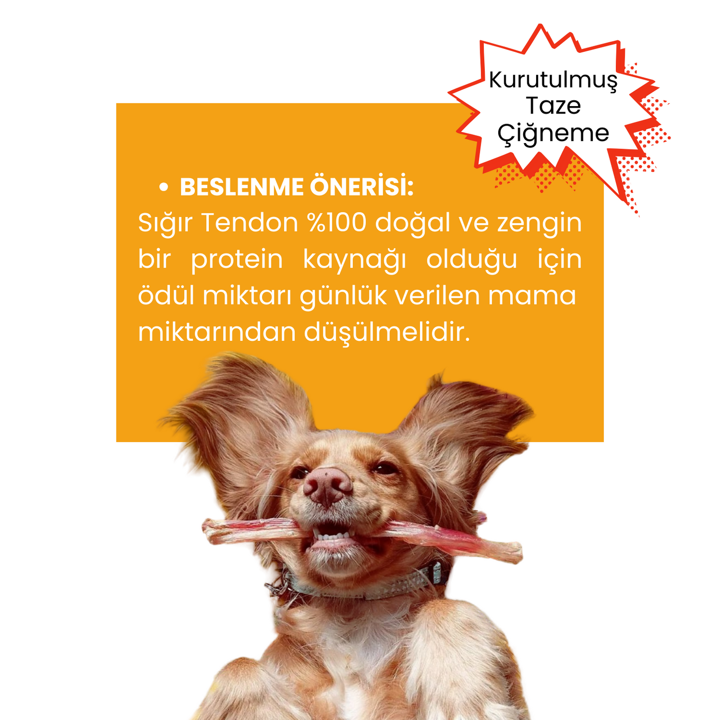 2 Adet Sığır Akciğer Köpek Ödül Maması ve 2 Adet Sığır Tendon Çiğneme Çubuğu