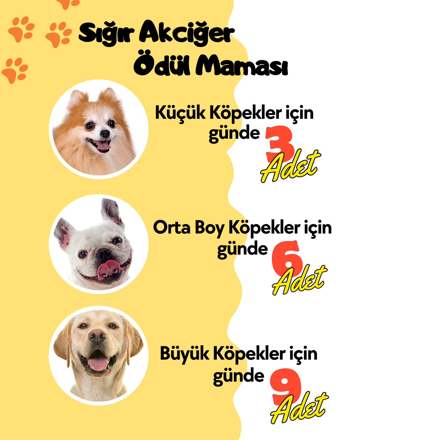 2 Adet Sığır Akciğer Köpek Ödül Maması ve 2 Adet Sığır Tendon Çiğneme Çubuğu