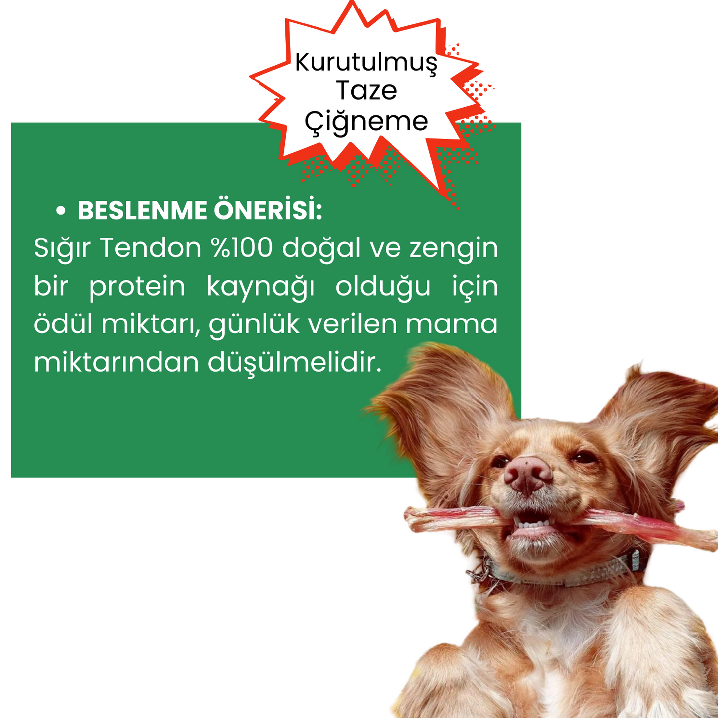 2 Adet Sığır Tendon Çiğneme Çubuğu Köpek Ödülü