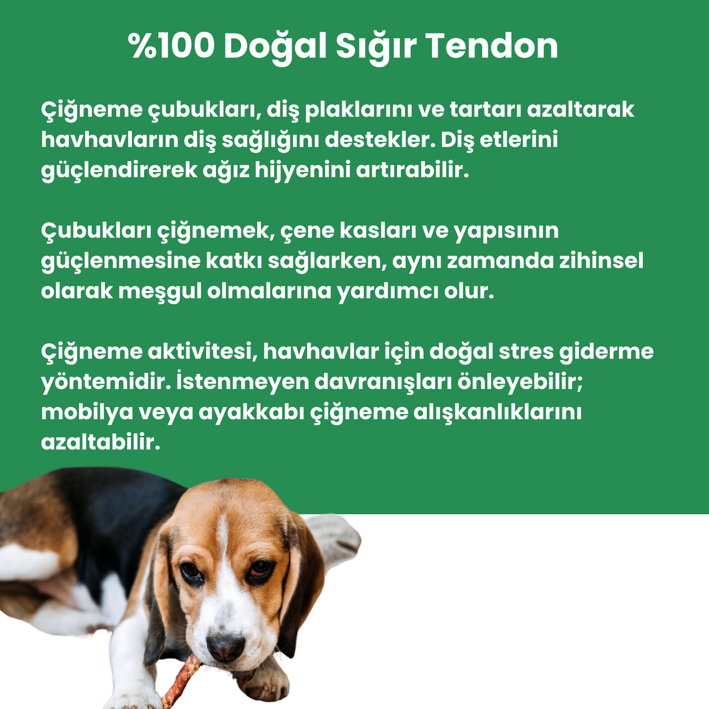 2 Adet Sığır Tendon Çiğneme Çubuğu Köpek Ödülü