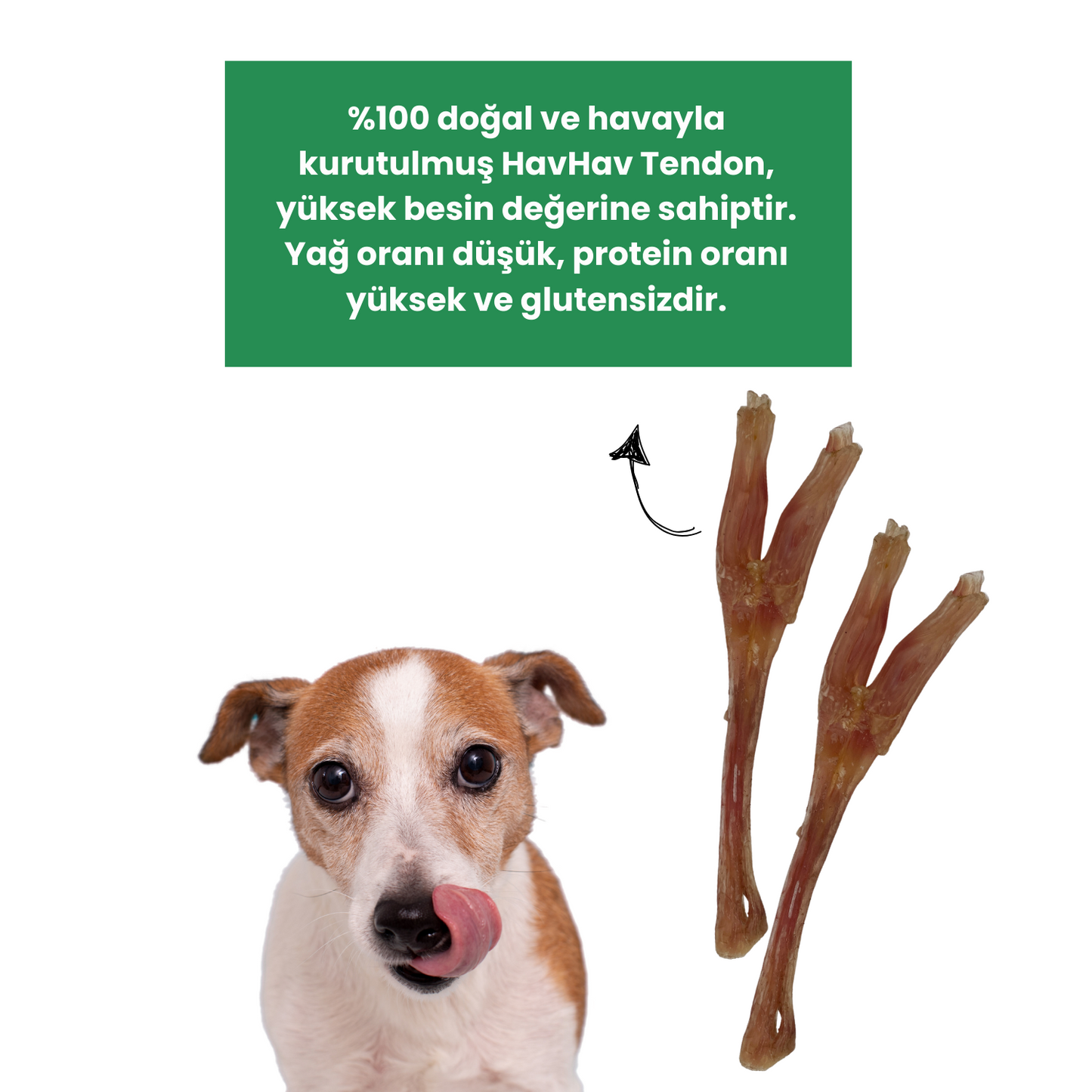 2 Adet Sığır Tendon Çiğneme Çubuğu Köpek Ödülü