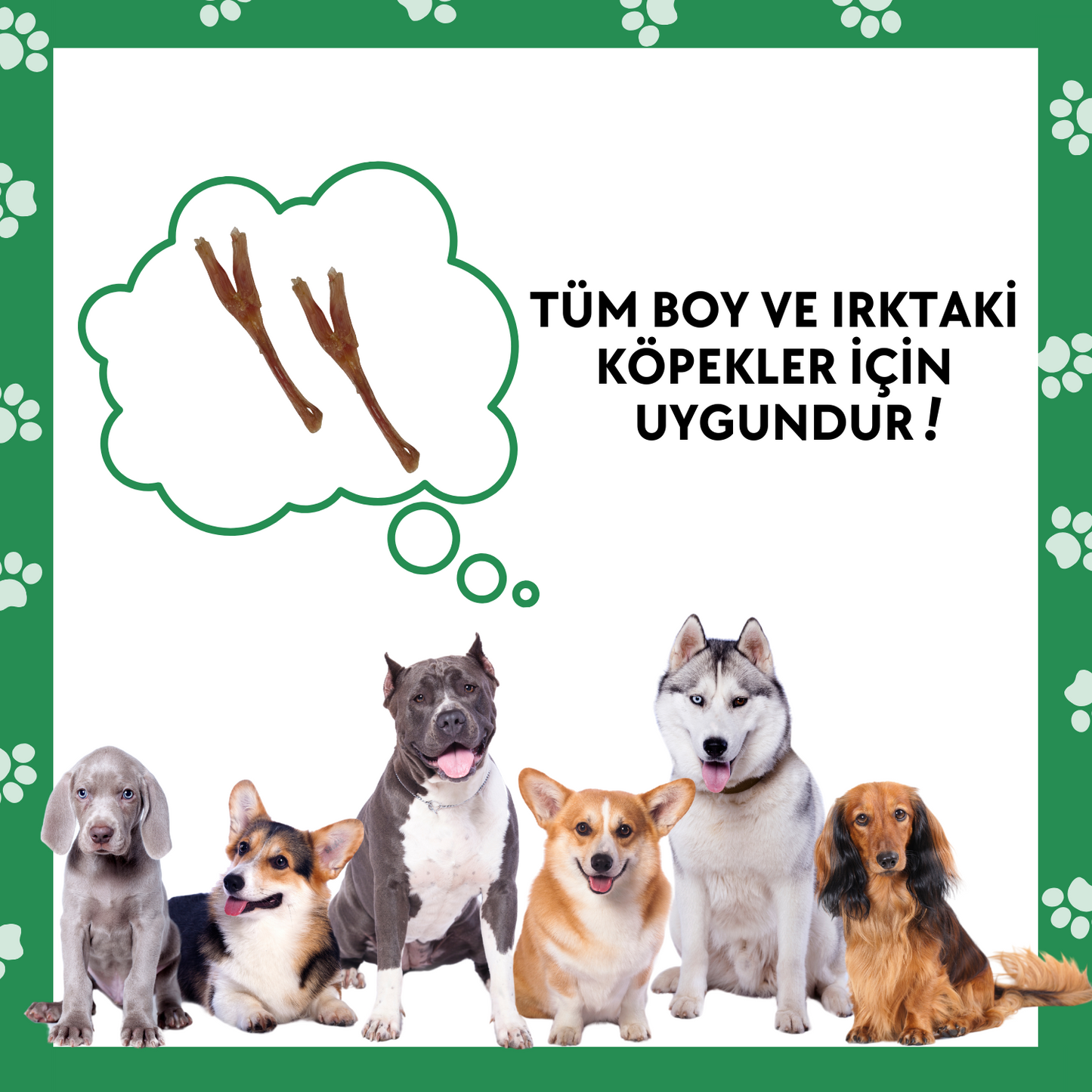2 Adet Sığır Tendon Çiğneme Çubuğu Köpek Ödülü