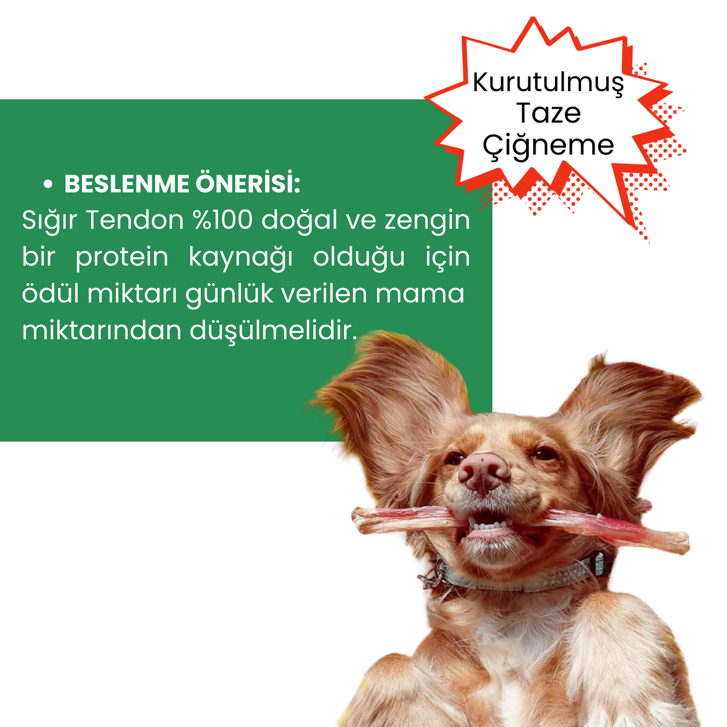 3 Adet Sığır Tendon Çiğneme Çubuğu Köpek Ödülü