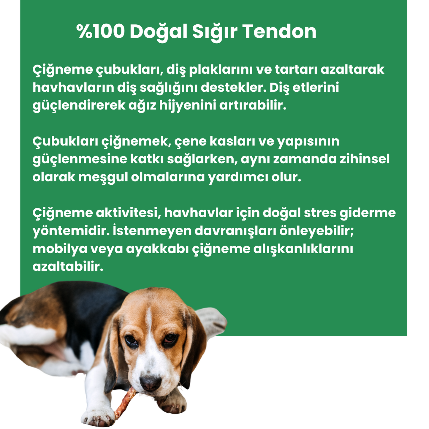 3 Adet Sığır Tendon Çiğneme Çubuğu Köpek Ödülü