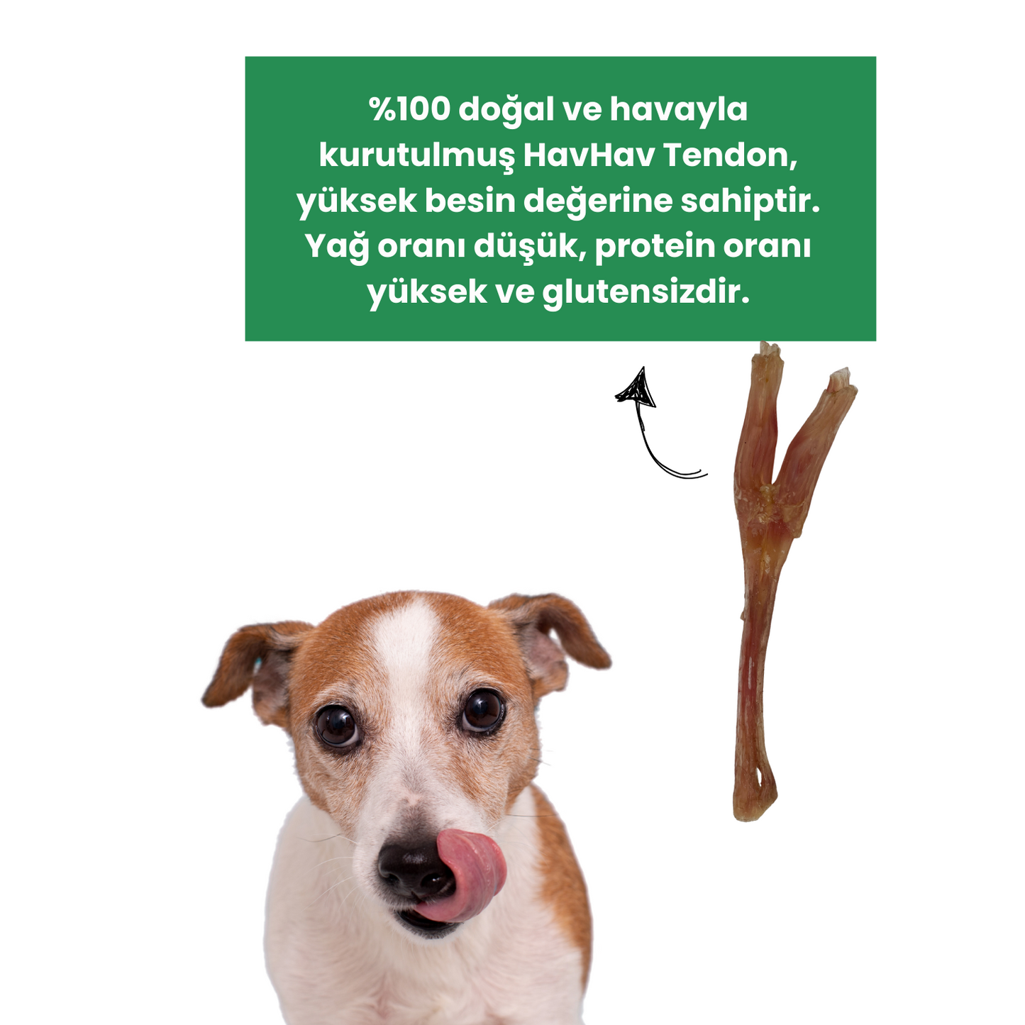 3 Adet Sığır Tendon Çiğneme Çubuğu Köpek Ödülü