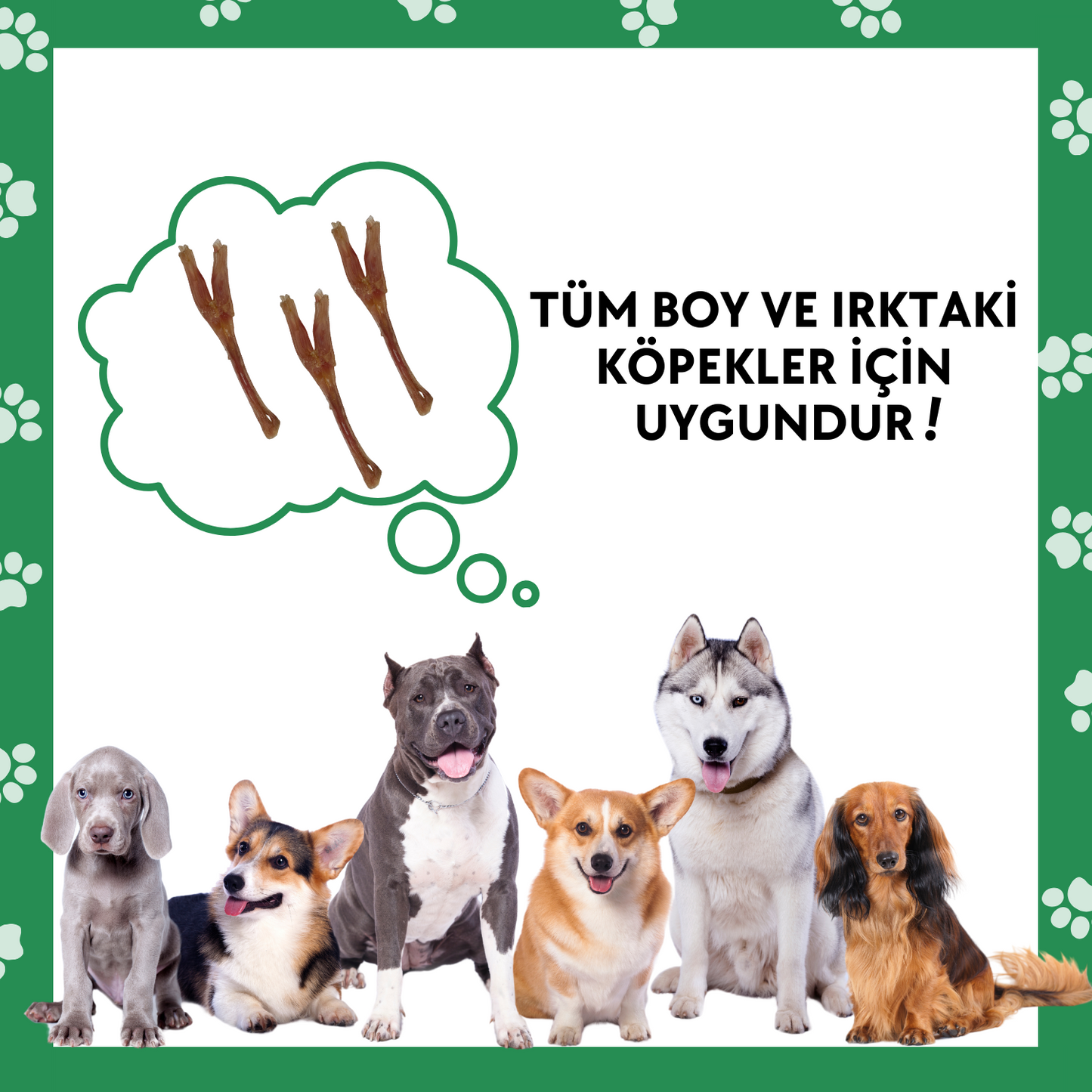 3 Adet Sığır Tendon Çiğneme Çubuğu Köpek Ödülü