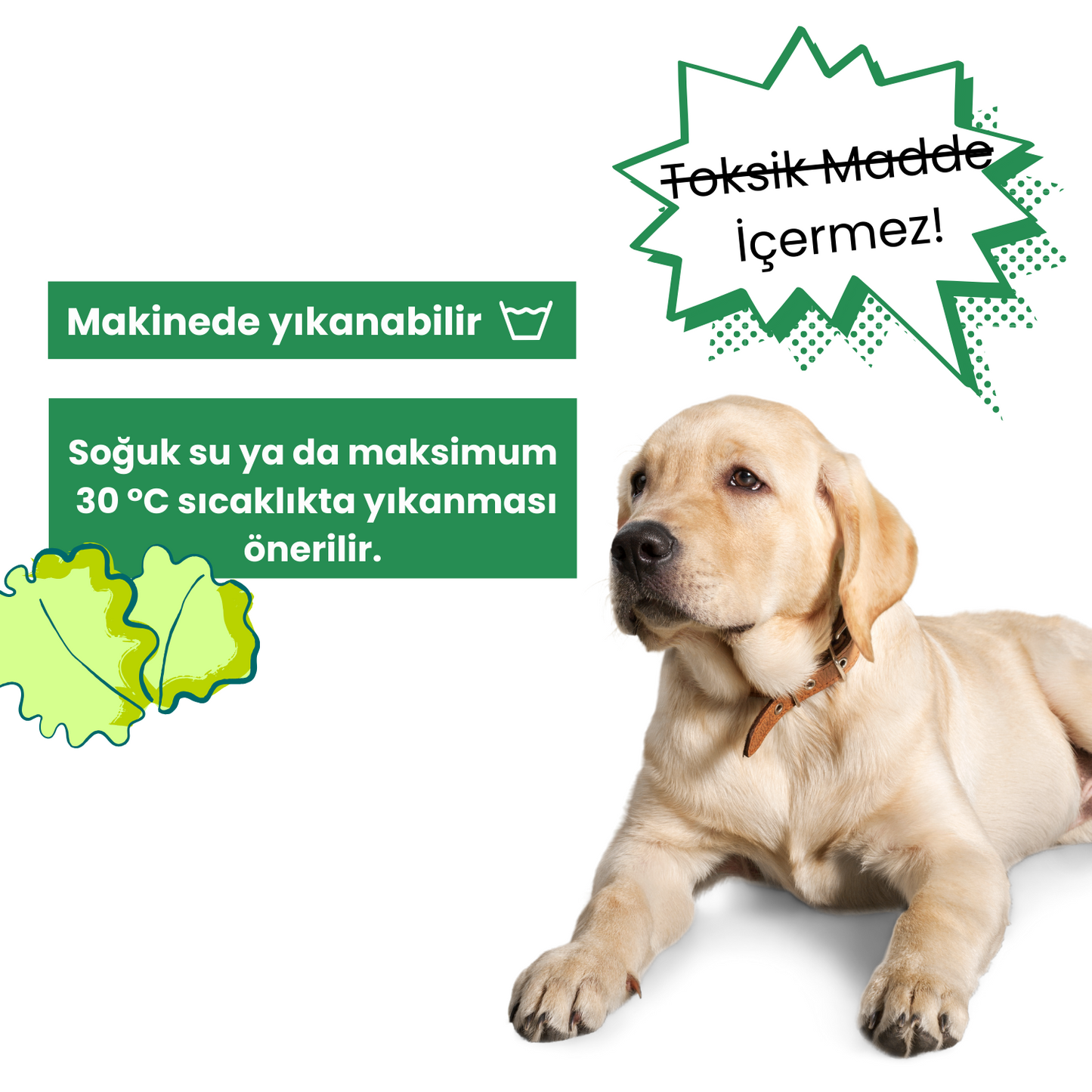Wufsalad Mama Saklamalı Köpek Zeka Oyuncağı