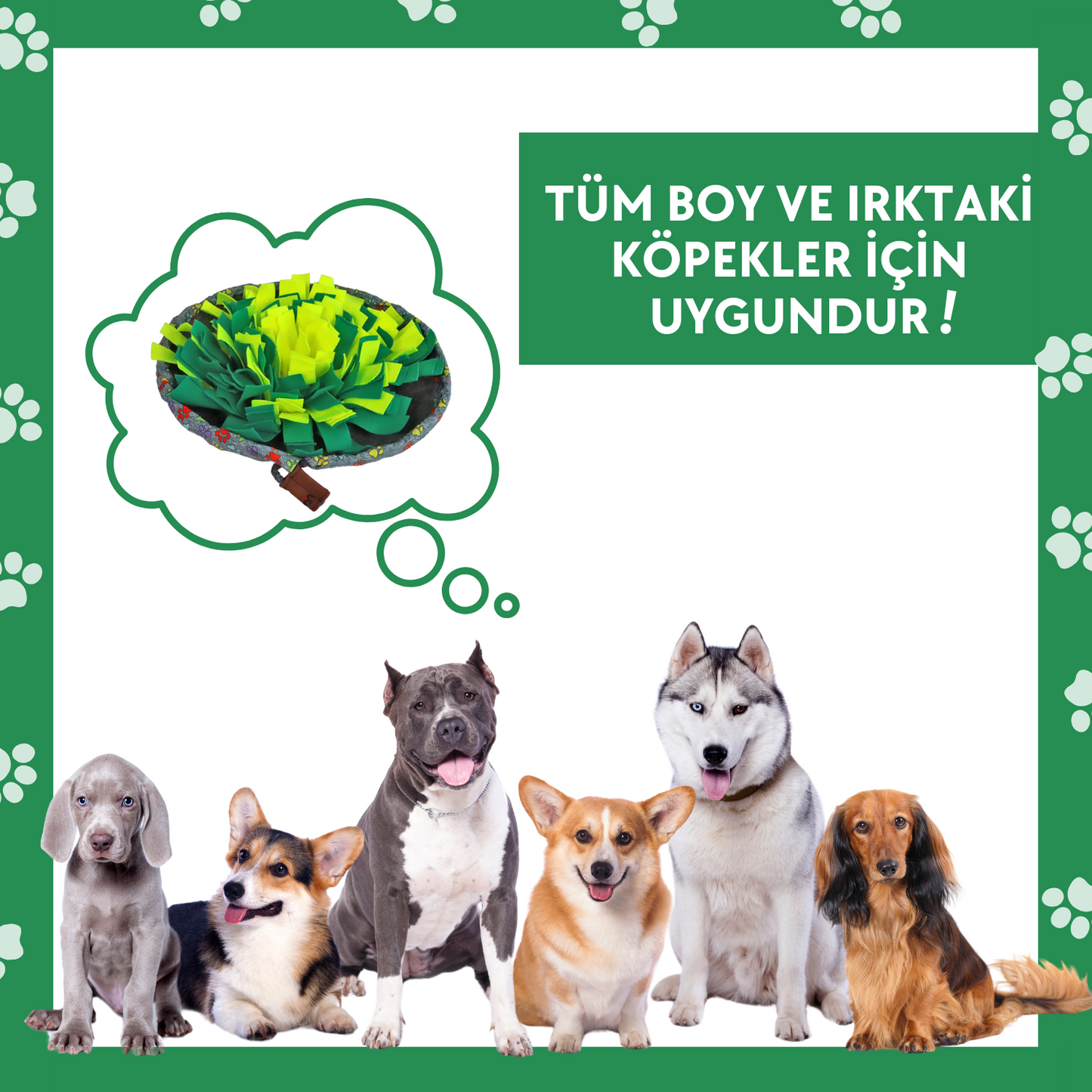 Wufsalad Mama Saklamalı Köpek Zeka Oyuncağı