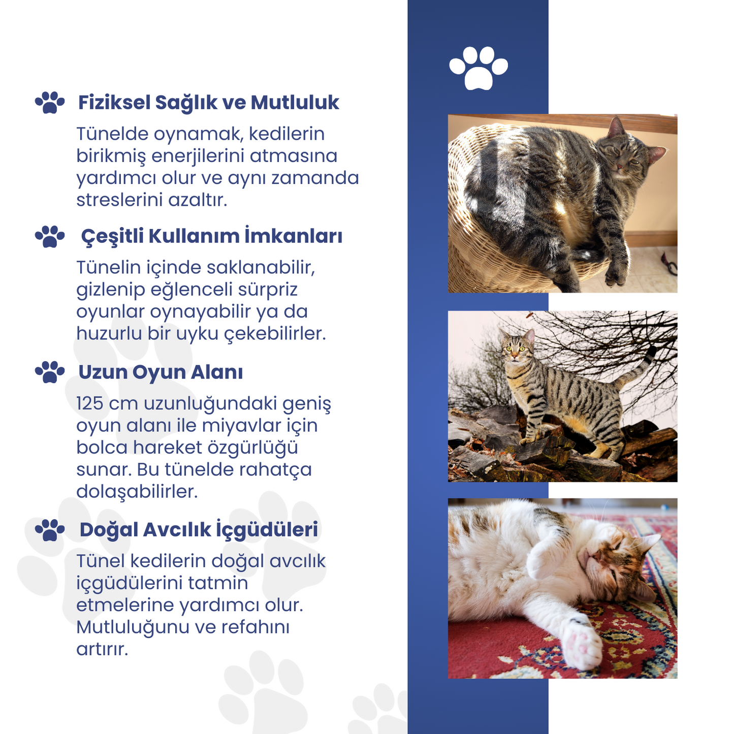 Yıldız Desenli Uzun Kedi Tüneli 125 cm