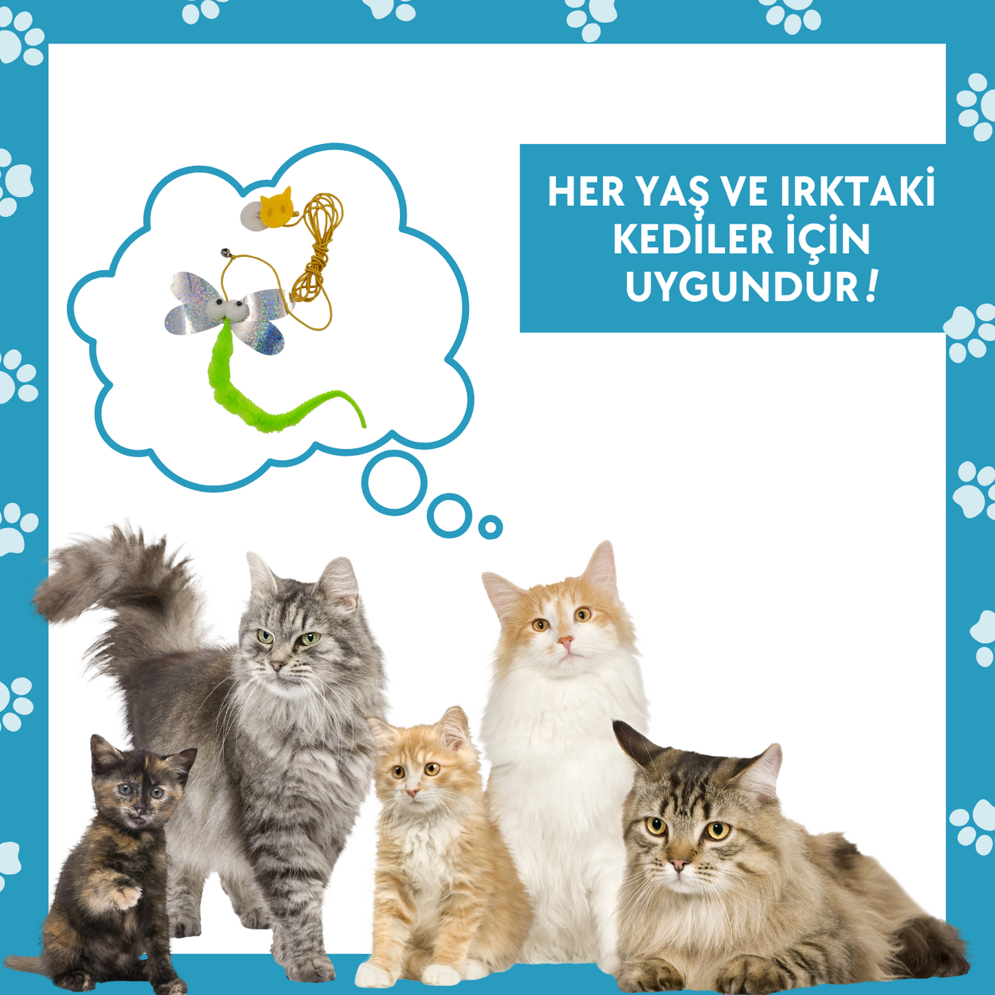 Ses Çıkaran Kedi Oltası - Duvara Yapıştırılabilir