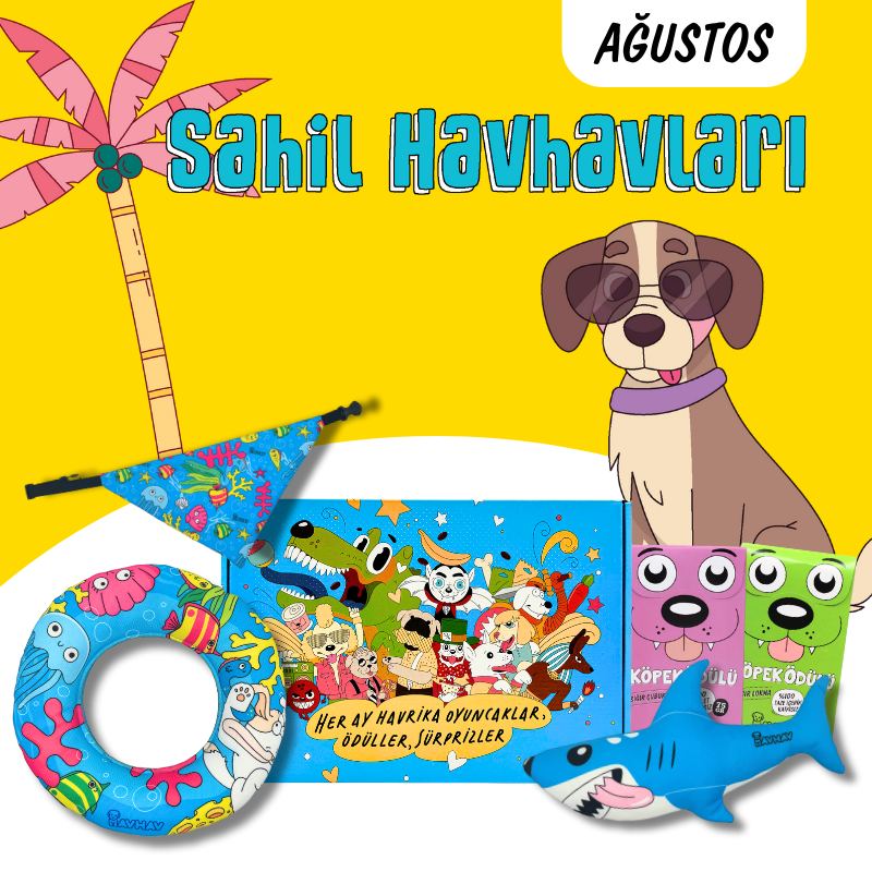 Sahil HavHavları Kutusu Köpek Oyuncak Seti
