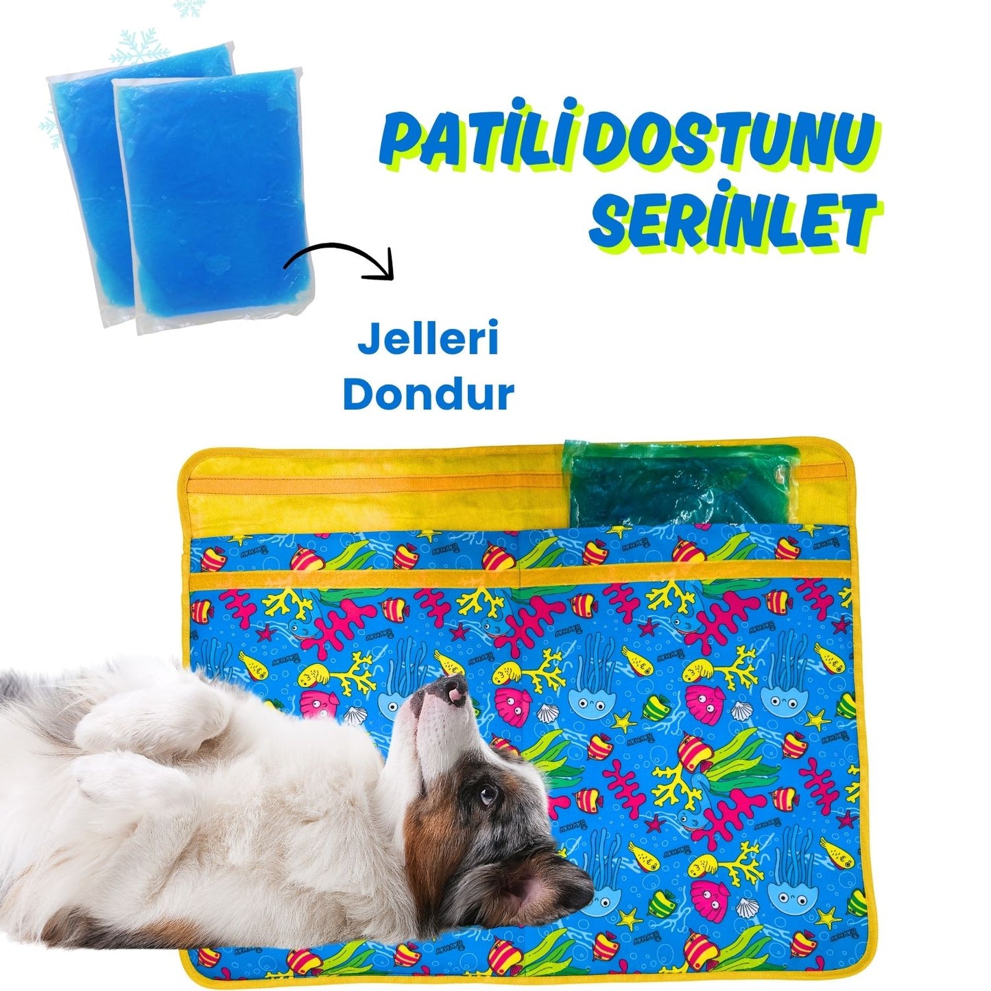 Serinletici Köpek Minderi Mavi - 2 Jel Dahil Su Geçirmez ve Katlanabilir Kumaş - Küçük, Orta ve Büyük Irklar için