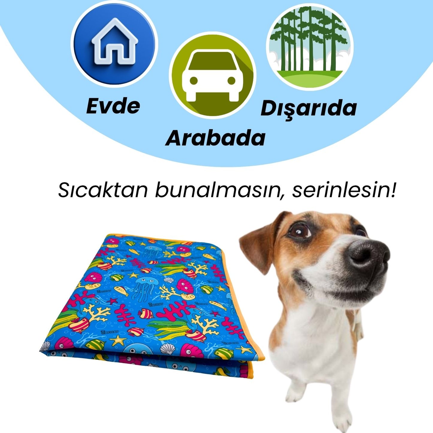 Serinletici Köpek Minderi Mavi - 2 Jel Dahil Su Geçirmez ve Katlanabilir Kumaş - Küçük, Orta ve Büyük Irklar için