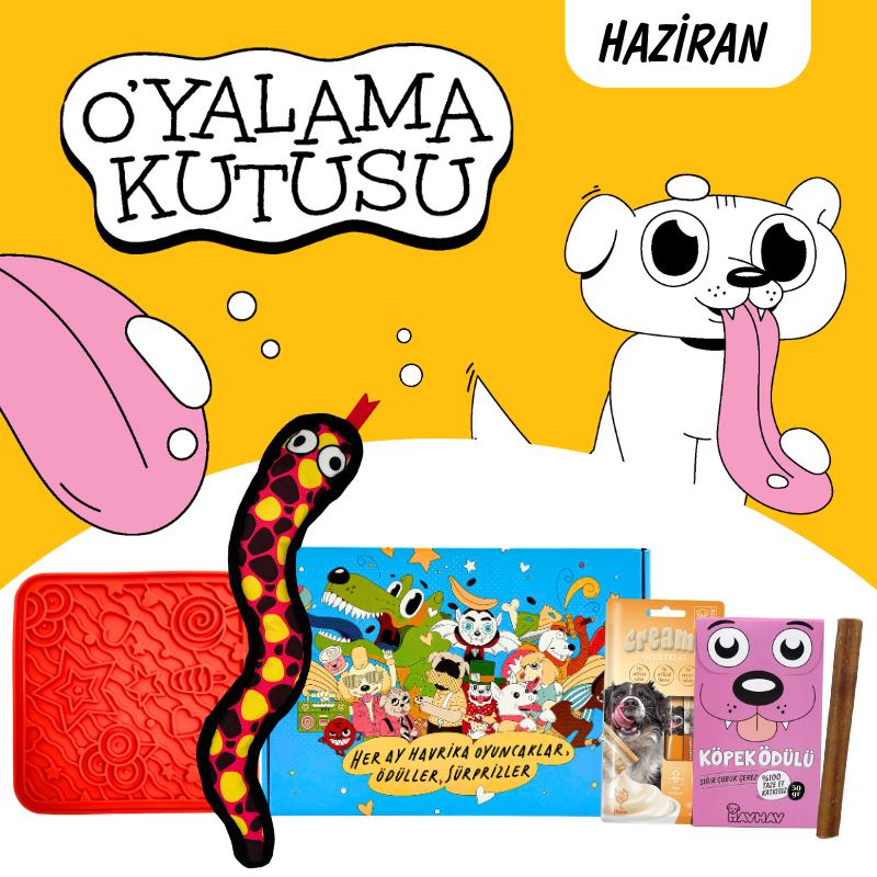 HavHav O'Yalama Kutusu Köpek Oyuncak Seti