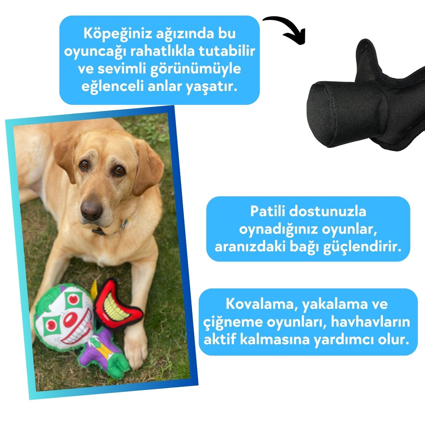 Cadılar Bayramı Temalı Köpek Oyuncak Seti Sesli Peluş Joker Ve Isırılabilir Joker Ağız Köpek Oyuncakları