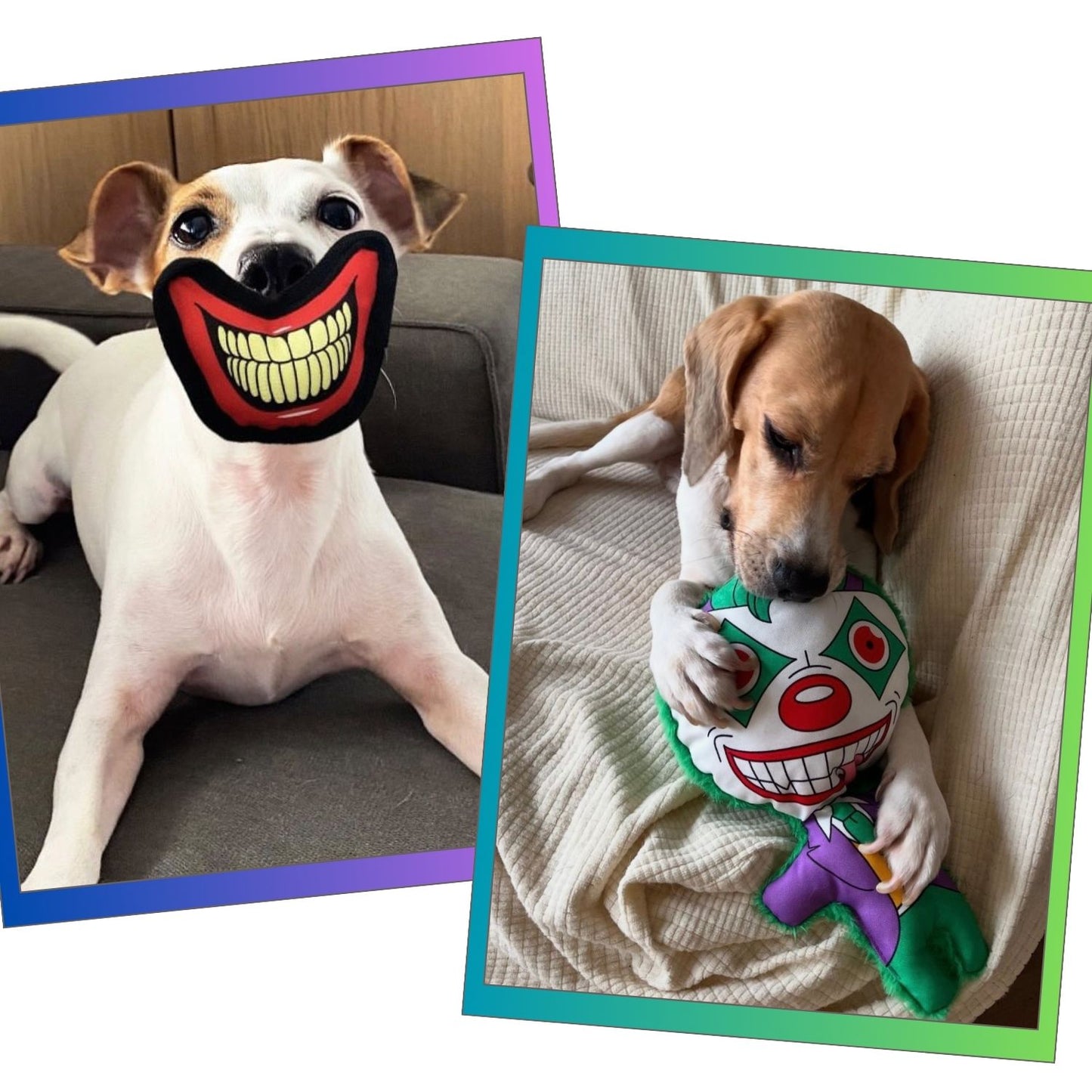 Cadılar Bayramı Temalı Köpek Oyuncak Seti Sesli Peluş Joker Ve Isırılabilir Joker Ağız Köpek Oyuncakları