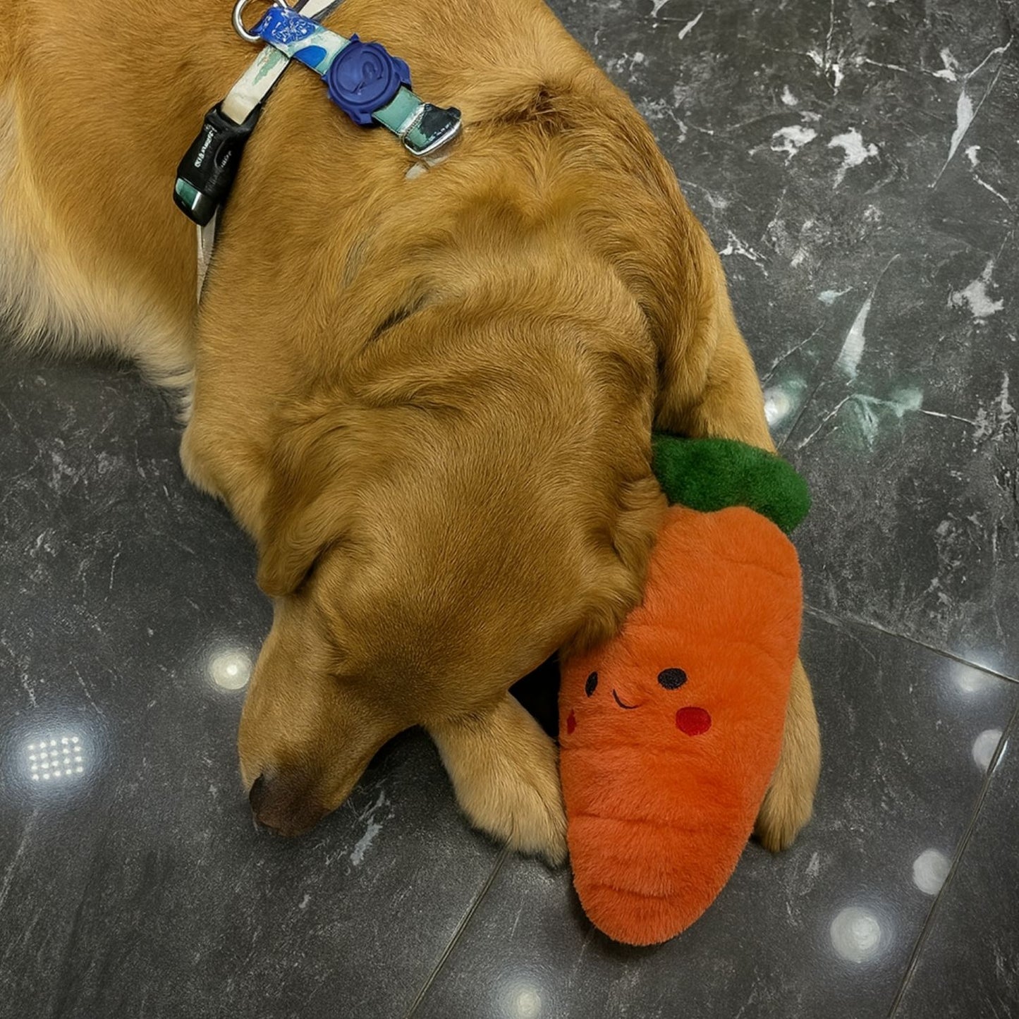Tombik Havuç Peluş Köpek Oyuncağı | Vikvik ve Hışırtı Sesli Turuncu Köpek Oyun Uyku Arkadaşı