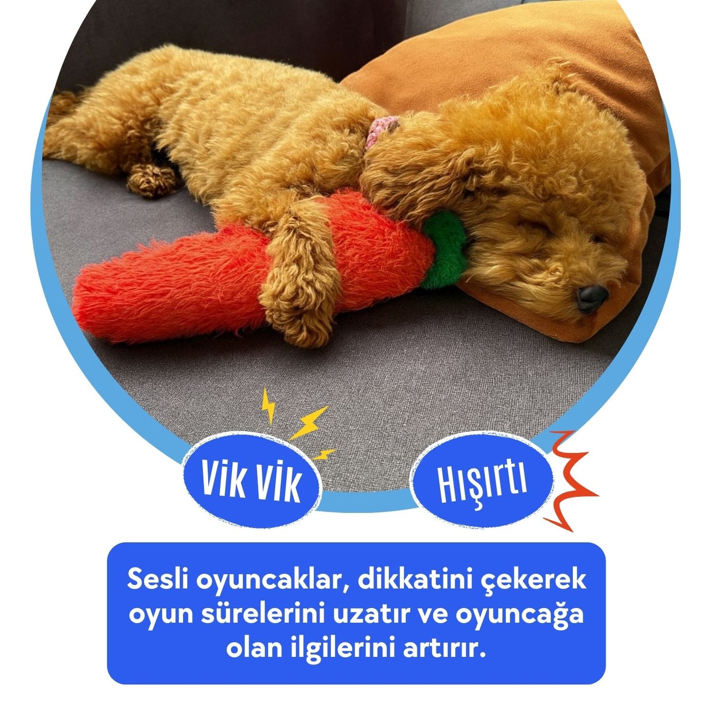 Tombik Havuç Peluş Köpek Oyuncağı | Vikvik ve Hışırtı Sesli Turuncu Köpek Oyun Uyku Arkadaşı