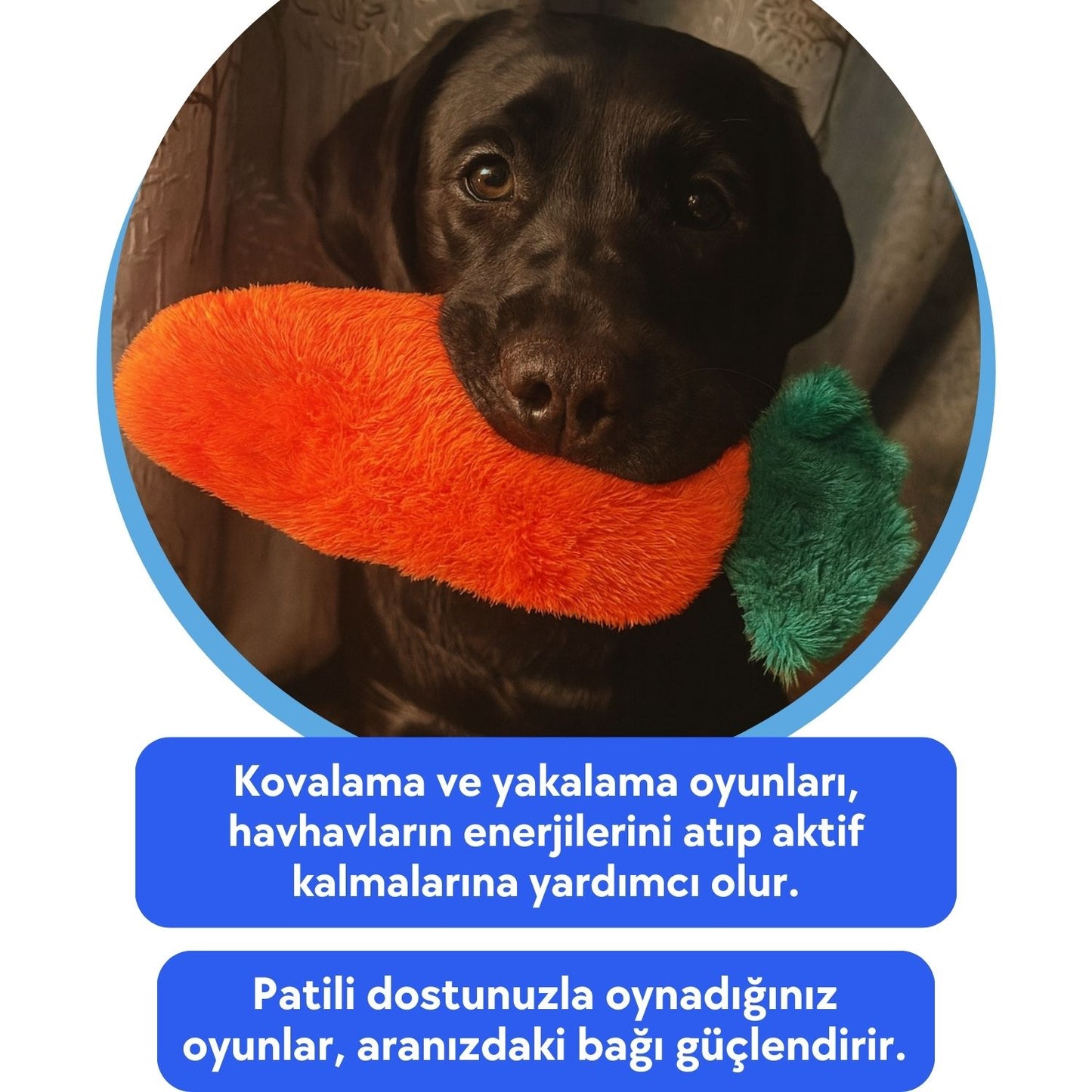 Tombik Havuç Peluş Köpek Oyuncağı | Vikvik ve Hışırtı Sesli Turuncu Köpek Oyun Uyku Arkadaşı