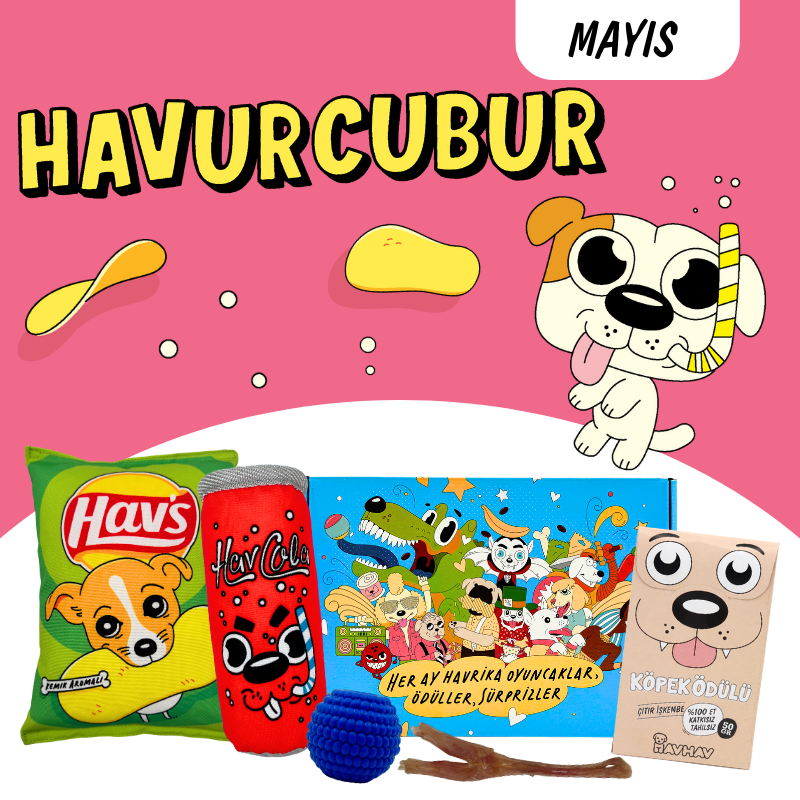 HavHav HavurCubur Köpek Oyuncak Seti