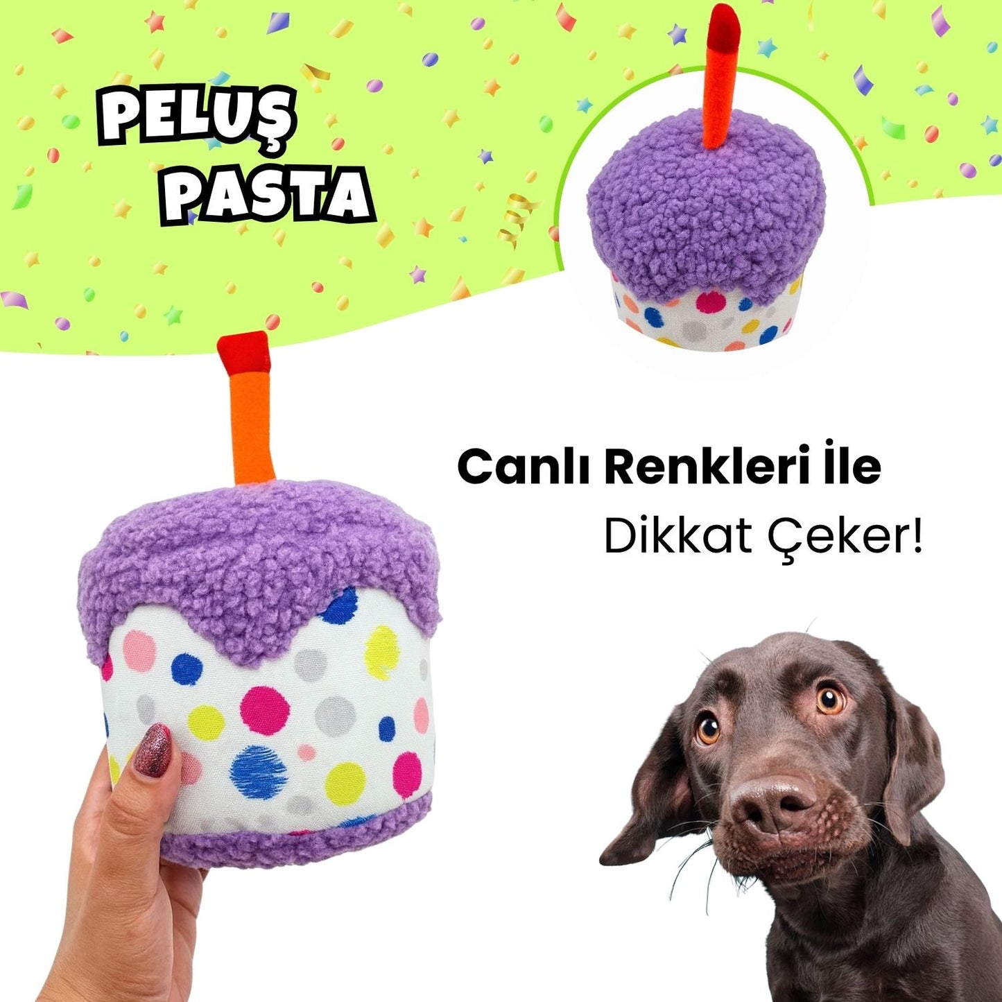 Köpek Parti Kutusu | Parti Şapkası, Peluş Pasta, Peluş Hediye Kutusu ve 2 Ödül Maması