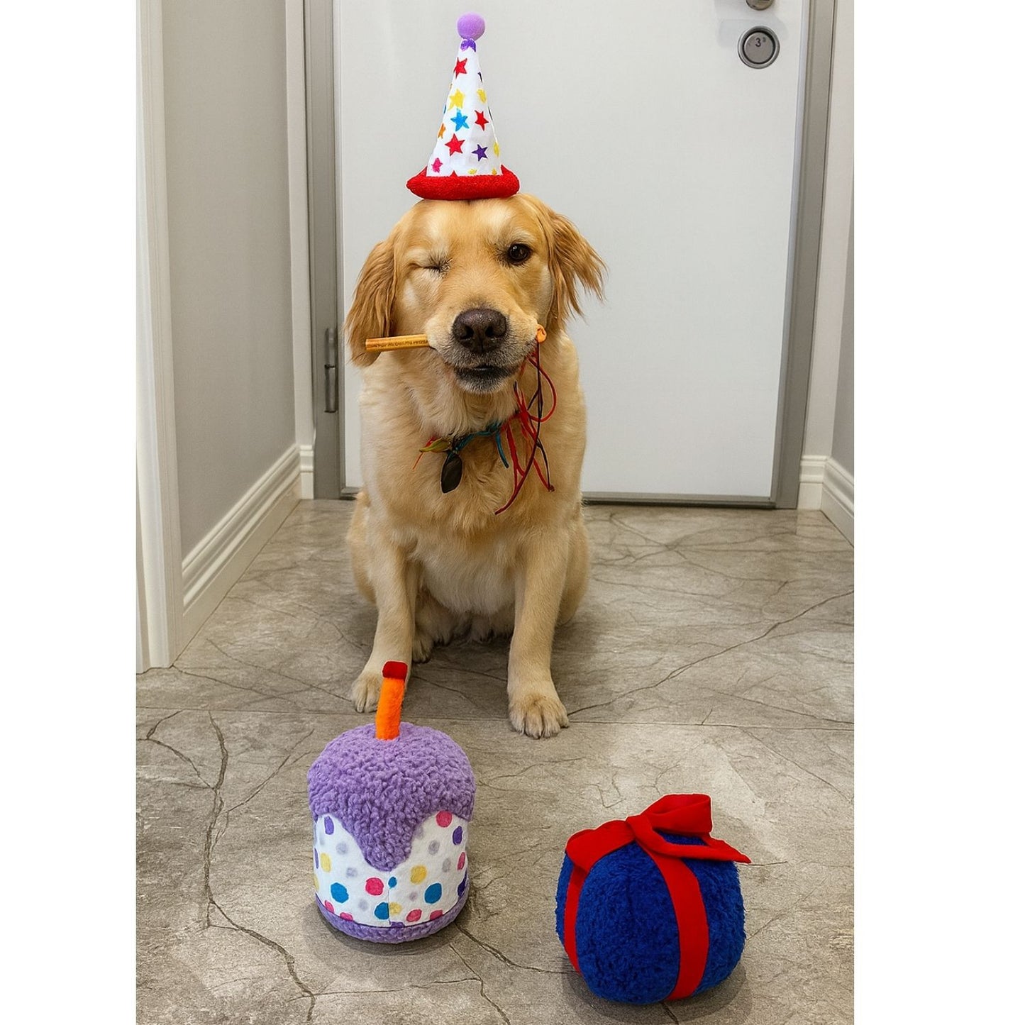 Köpek Parti Kutusu | Parti Şapkası, Peluş Pasta, Peluş Hediye Kutusu ve 2 Ödül Maması