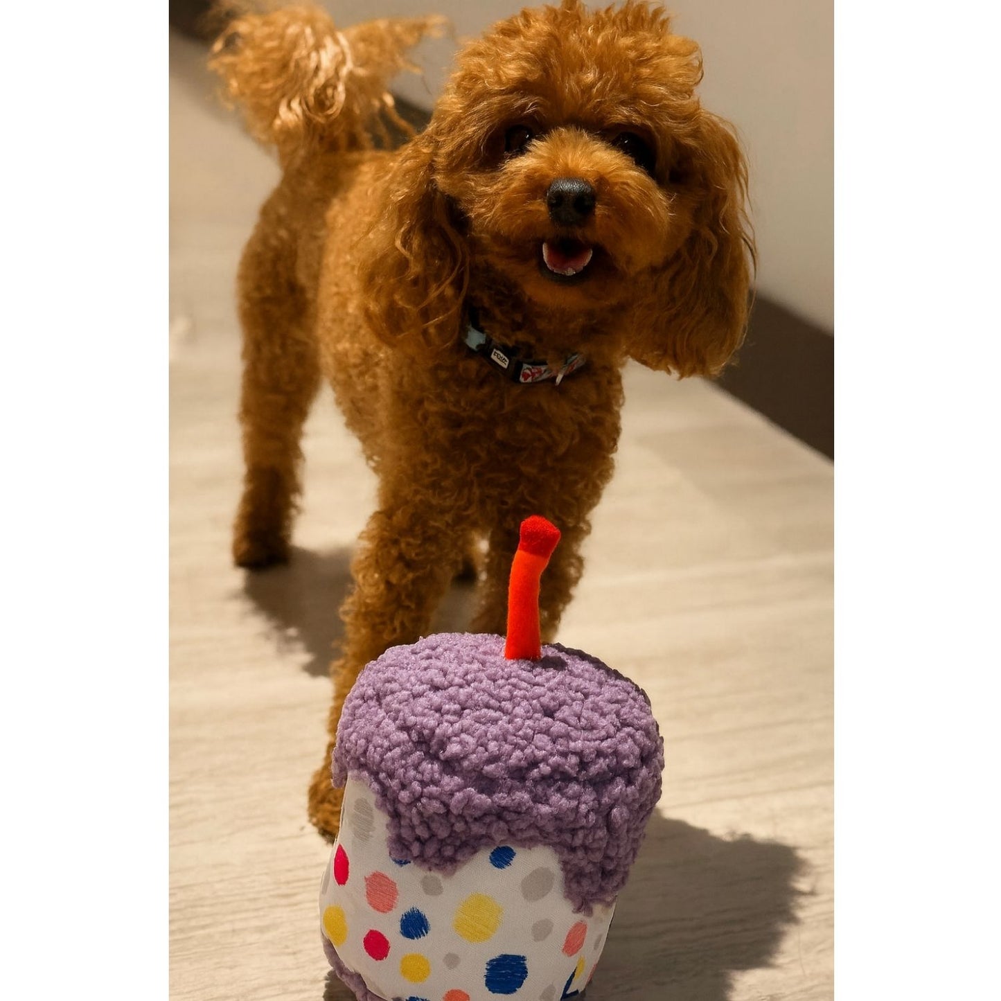 Köpek Parti Kutusu | Parti Şapkası, Peluş Pasta, Peluş Hediye Kutusu ve 2 Ödül Maması