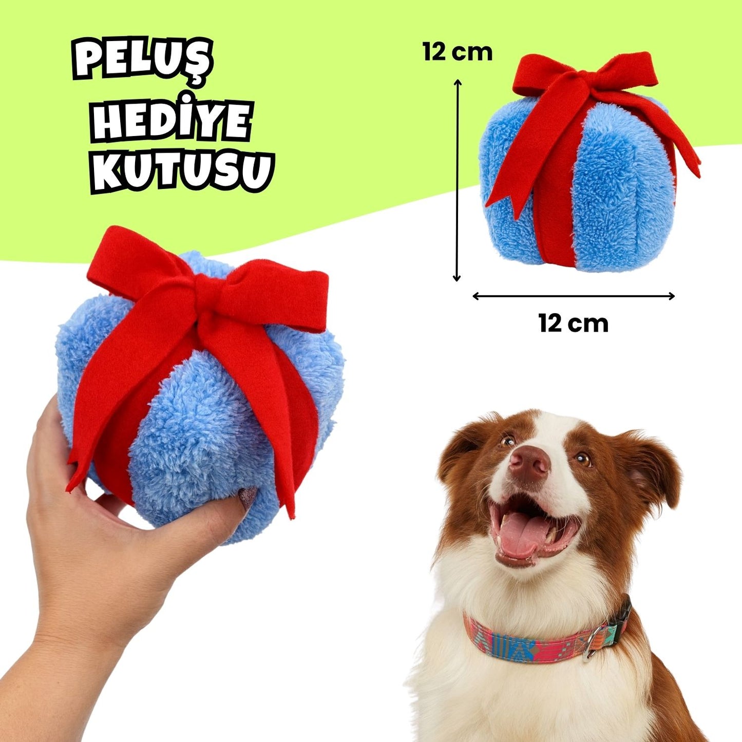 Köpek Parti Kutusu | Parti Şapkası, Peluş Pasta, Peluş Hediye Kutusu ve 2 Ödül Maması