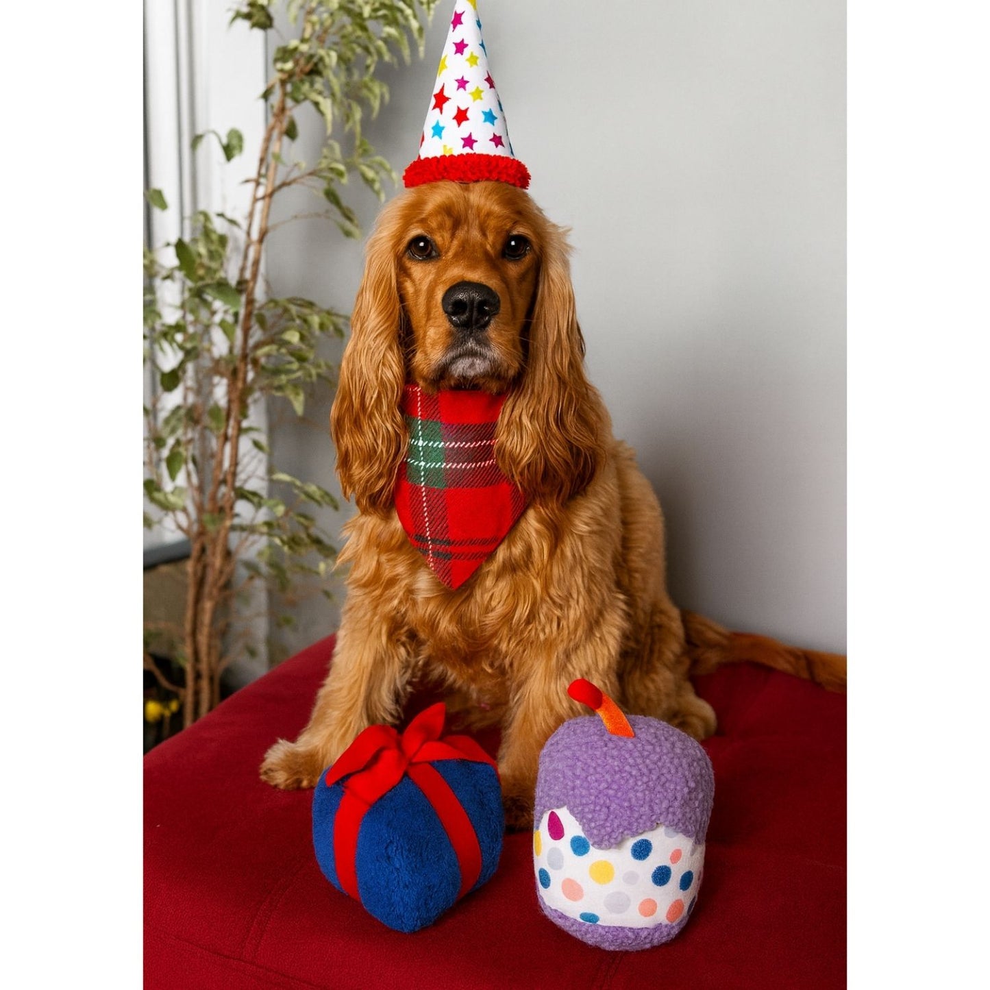Köpek Parti Kutusu | Parti Şapkası, Peluş Pasta, Peluş Hediye Kutusu ve 2 Ödül Maması