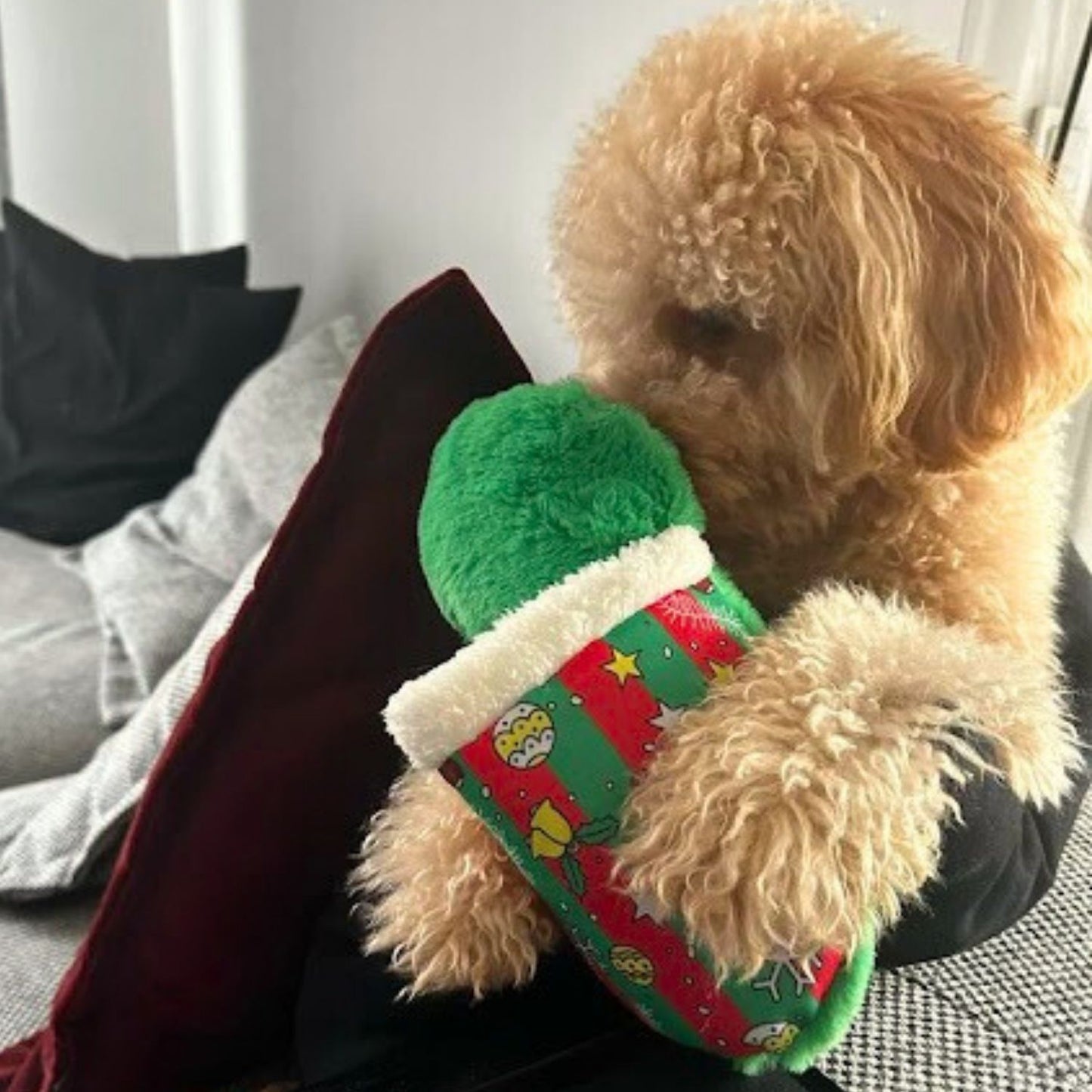 Sesli Peluş Terlik Köpek Oyuncağı | Mama Saklamalı Zeka Geliştirici Oyuncak