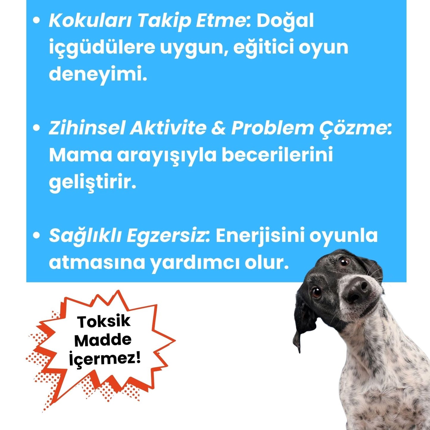 Sesli Peluş Terlik Köpek Oyuncağı | Mama Saklamalı Zeka Geliştirici Oyuncak