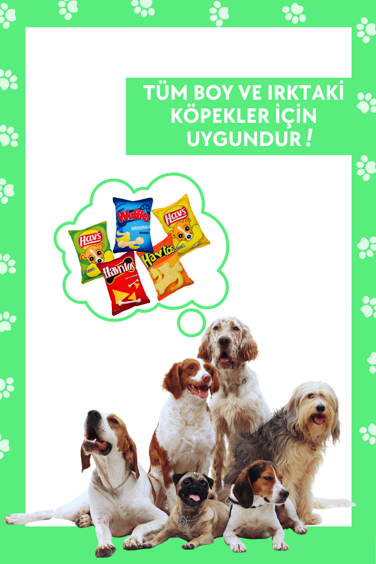 HavHavMarket 5 Adet Sesli Peluş Cips Köpek Oyuncakları