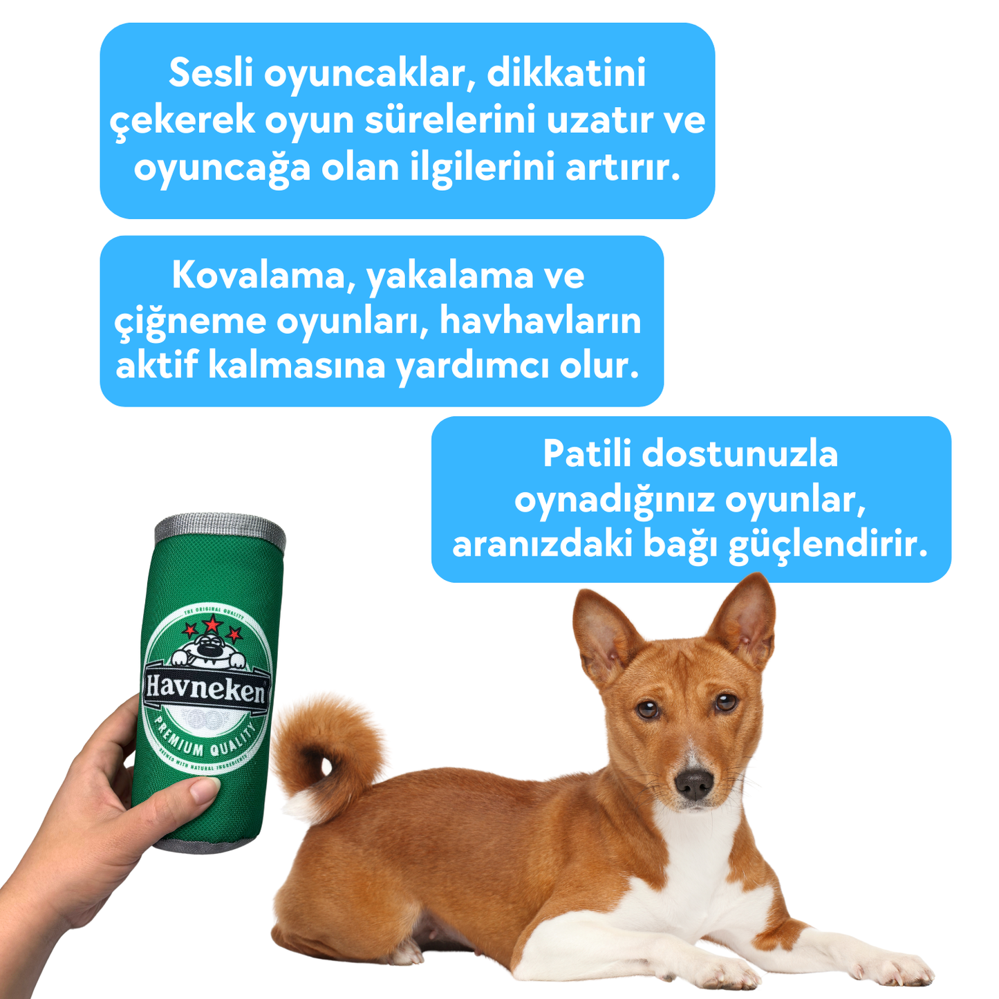 Havneken Kutu İçecek Sesli Peluş Köpek Oyuncağı