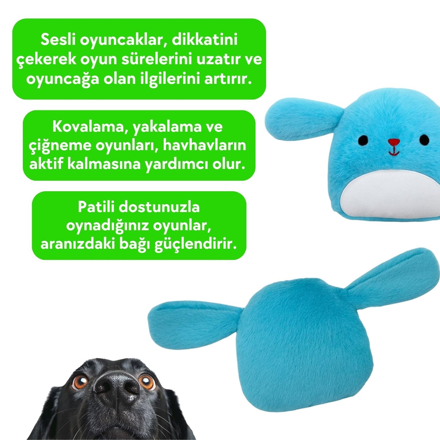 Peluş Tavşan Köpek Oyuncağı | Hışırtı Sesli Köpek Oyun Arkadaşı