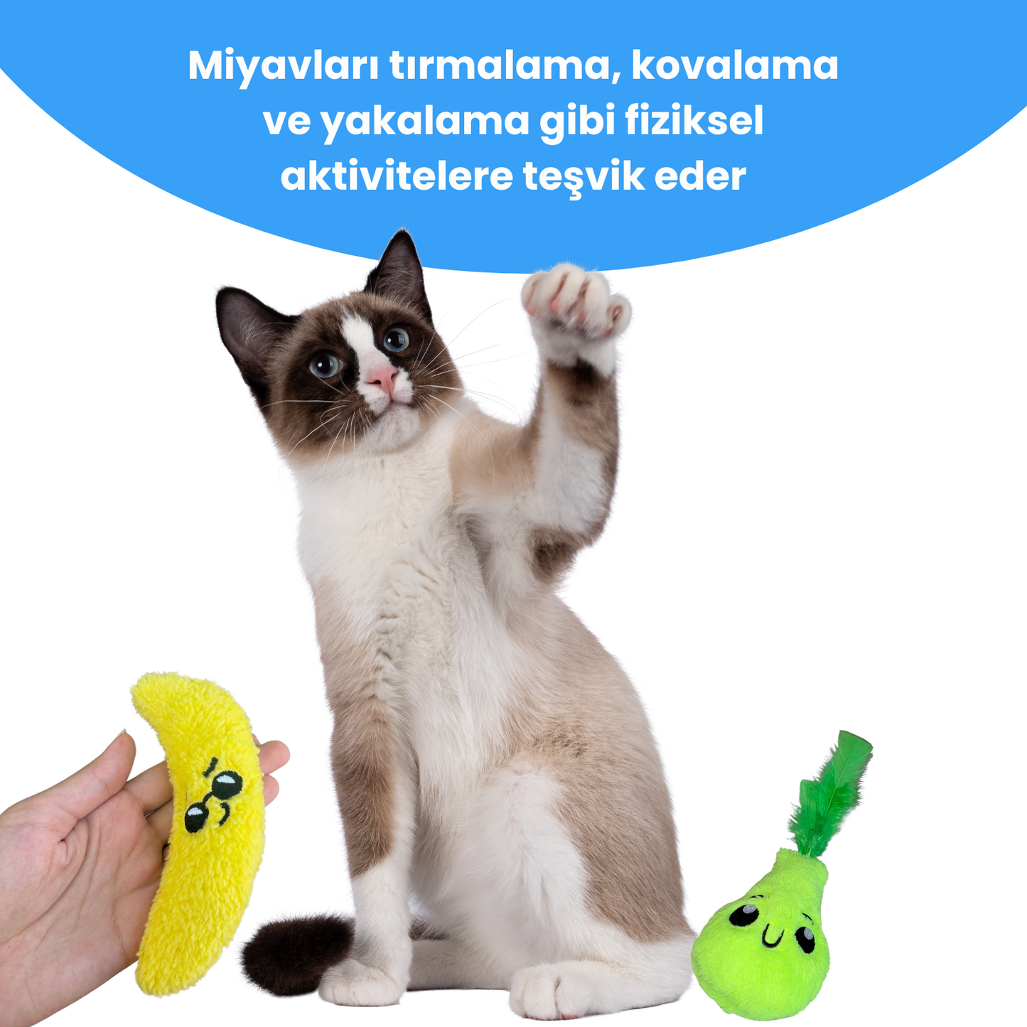 Catnipli Peluş Muz ve Peluş Armut Kedi Oyuncak Seti