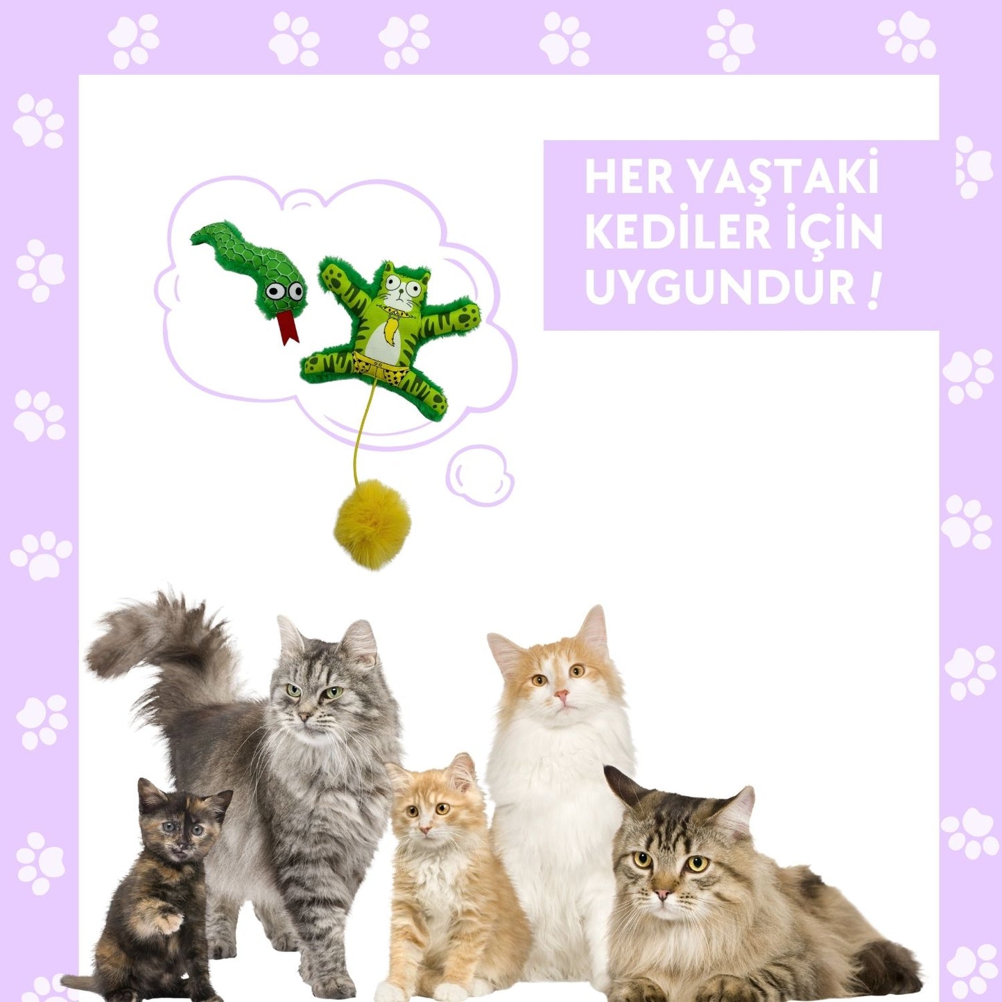 Miyav 2'li Peluş Kedi Oyuncak Seti: Ponponlu, Lastikli Kedi Ve Yeşil Renkli Yılan