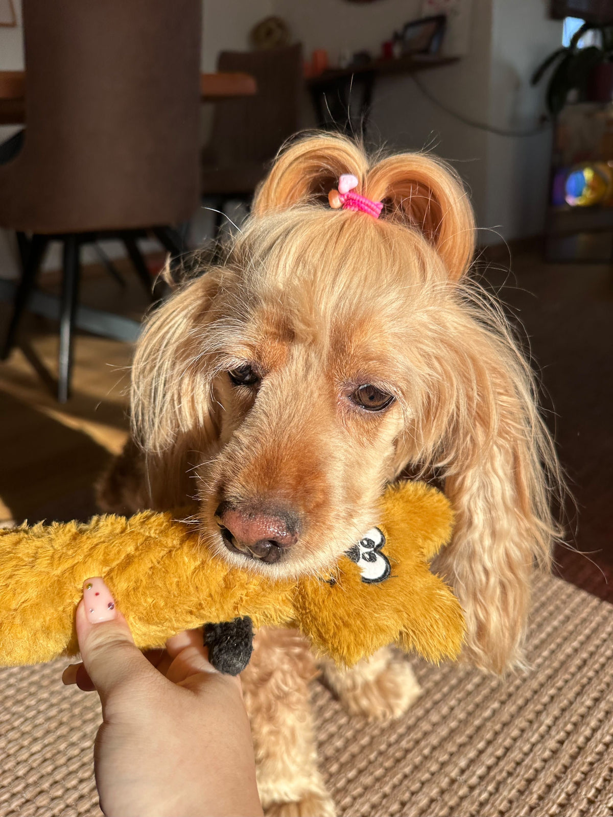 Havhav Sincap 40 cm - Peluş Sincap Köpek Oyuncağı