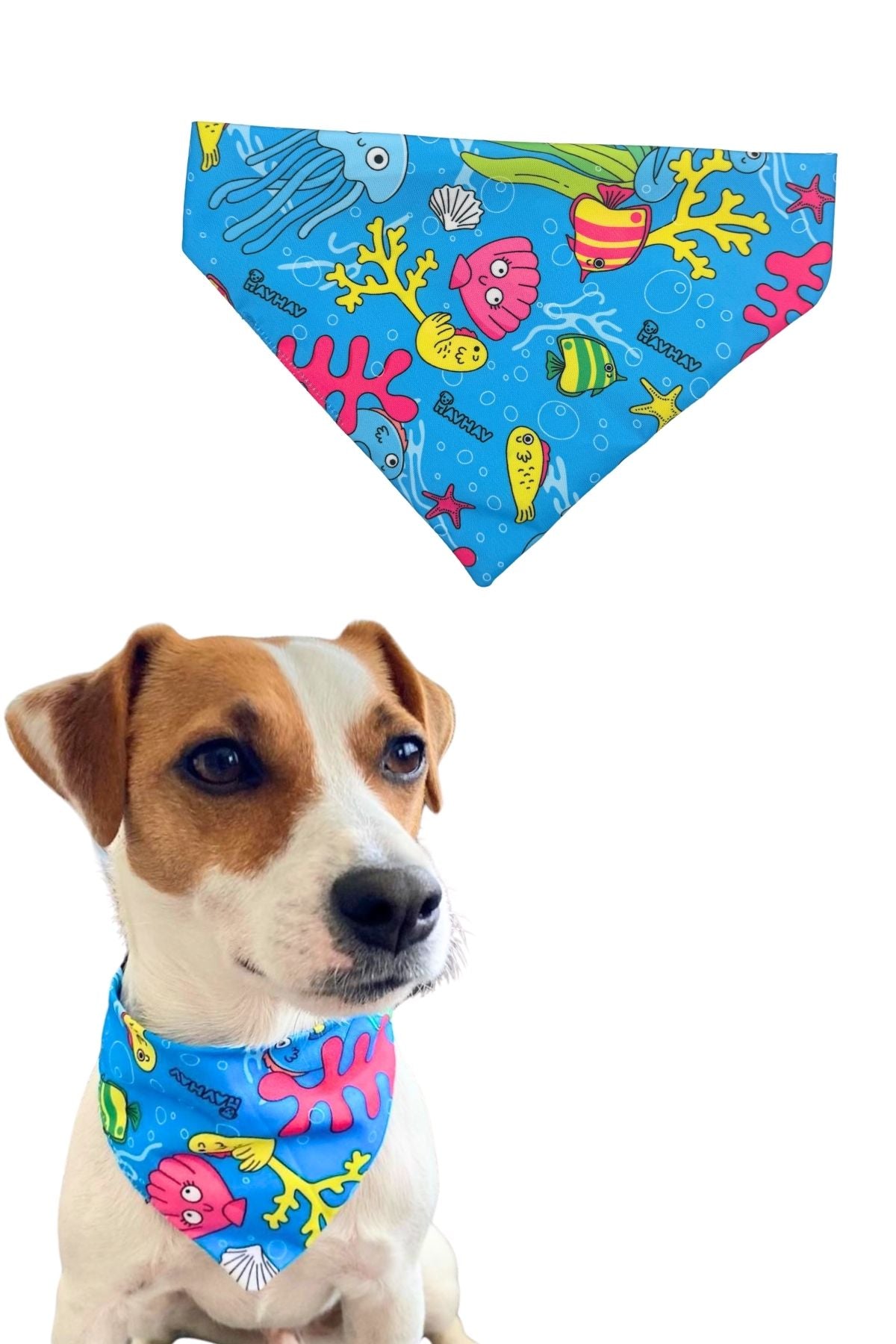 Sahil HavHavları Köpek Oyuncak Seti Fular, Köpek Balığı ve Simit Köpek Oyuncakları