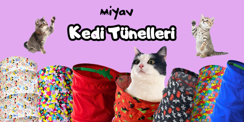 Kedi Oyun Tünelleri