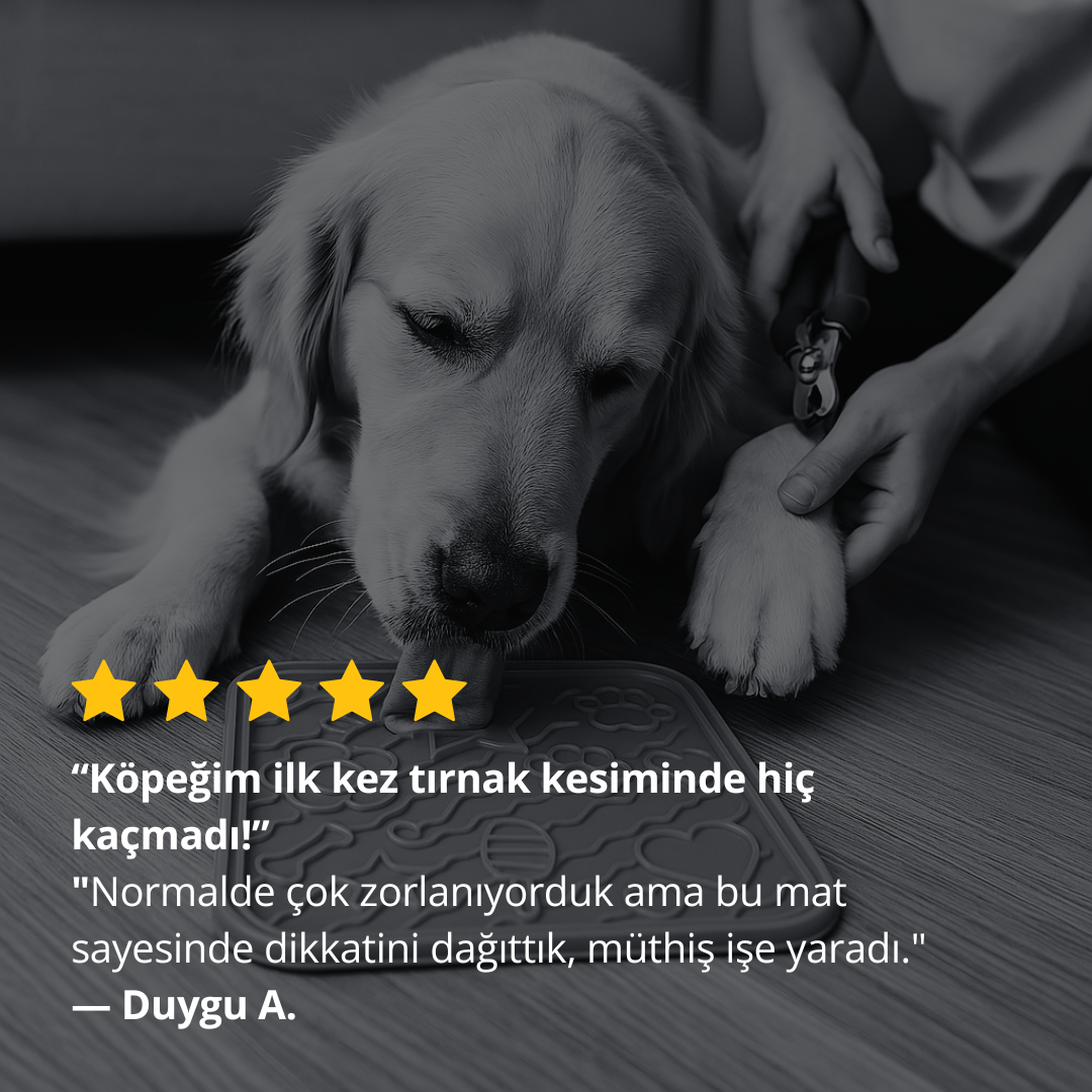 O'yalama Matı Köpek Ve Kedi İçin Yalama Matı Vakumlu Lickmat